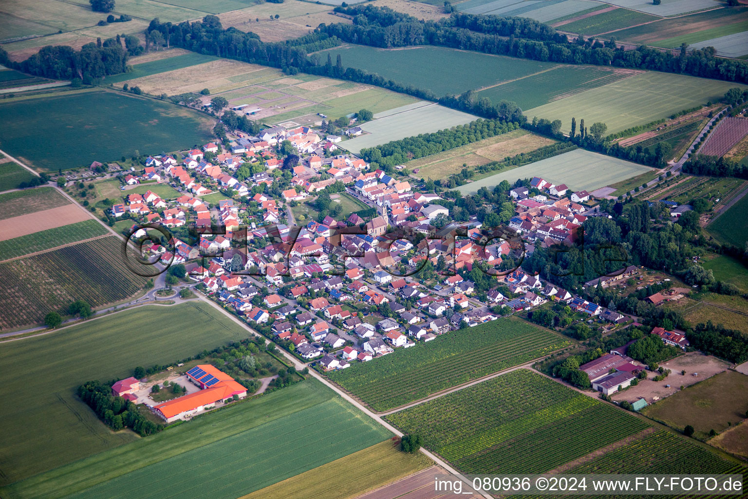 Dorf - Ansicht am Rande von landwirtschaftlichen Feldern und Nutzflächen in Großfischlingen im Bundesland Rheinland-Pfalz, Deutschland