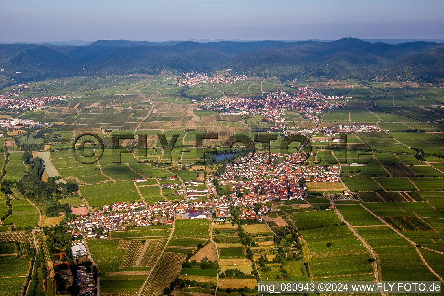 Luftbild von Dorf - Ansicht am Rande von landwirtschaftlichen Feldern und Nutzflächen in Kirrweiler (Pfalz) im Bundesland Rheinland-Pfalz, Deutschland