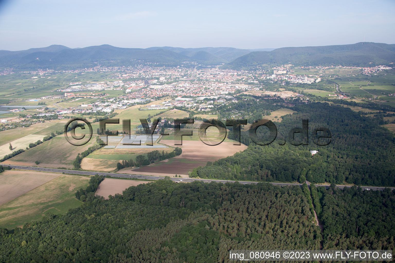 Luftaufnahme von Ortsteil Speyerdorf in Neustadt an der Weinstraße im Bundesland Rheinland-Pfalz, Deutschland
