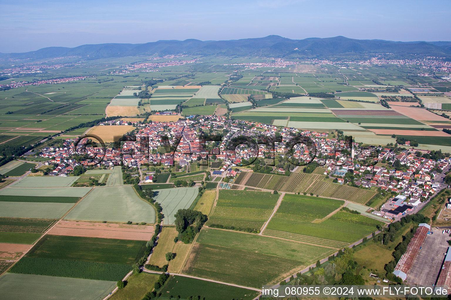 Luftbild von Dorf - Ansicht am Rande von landwirtschaftlichen Feldern und Nutzflächen im Ortsteil Lachen-Speyerdorf in Neustadt an der Weinstraße im Bundesland Rheinland-Pfalz, Deutschland