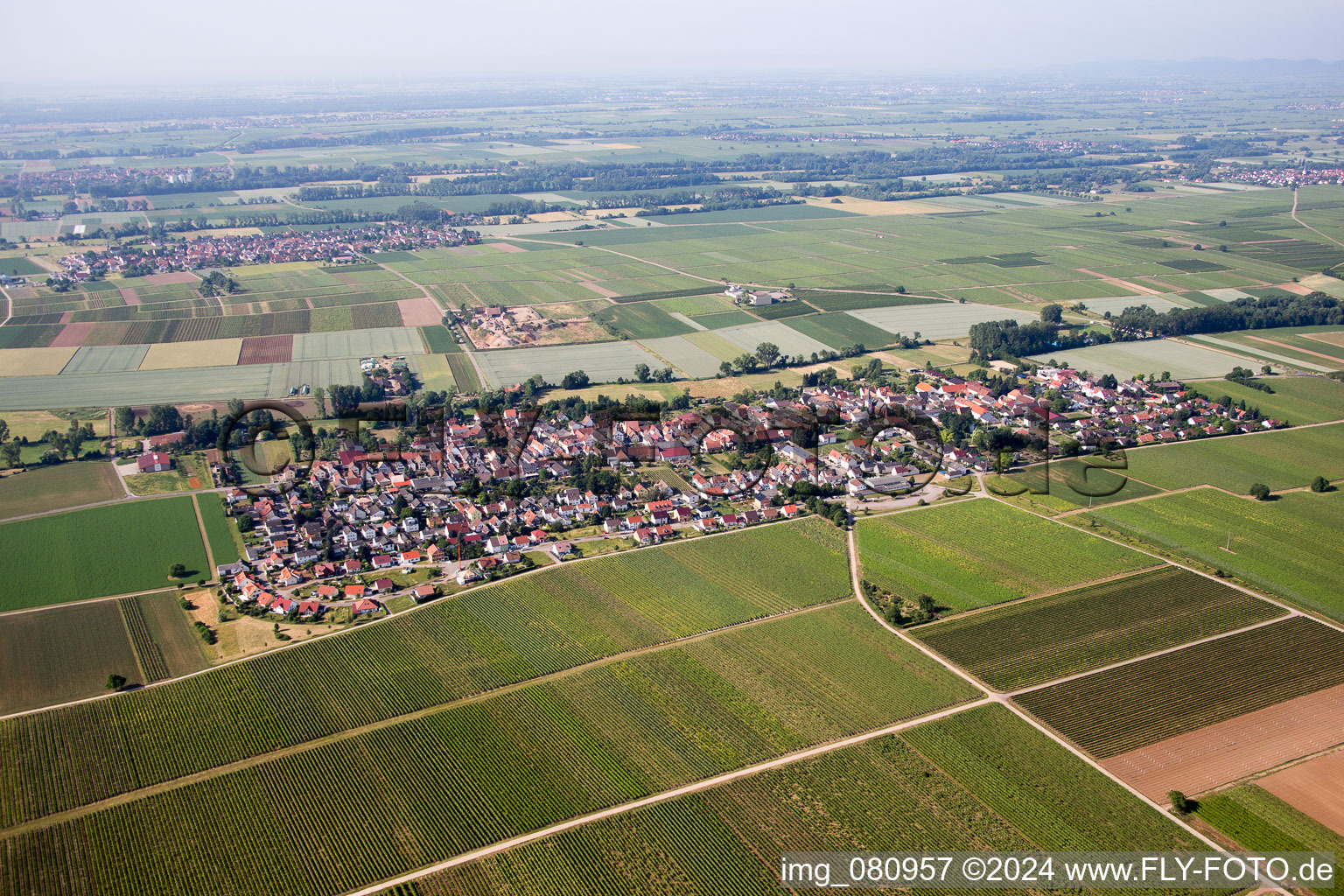 Dorf - Ansicht am Rande von landwirtschaftlichen Feldern und Nutzflächen im Ortsteil Duttweiler in Neustadt an der Weinstraße im Bundesland Rheinland-Pfalz, Deutschland
