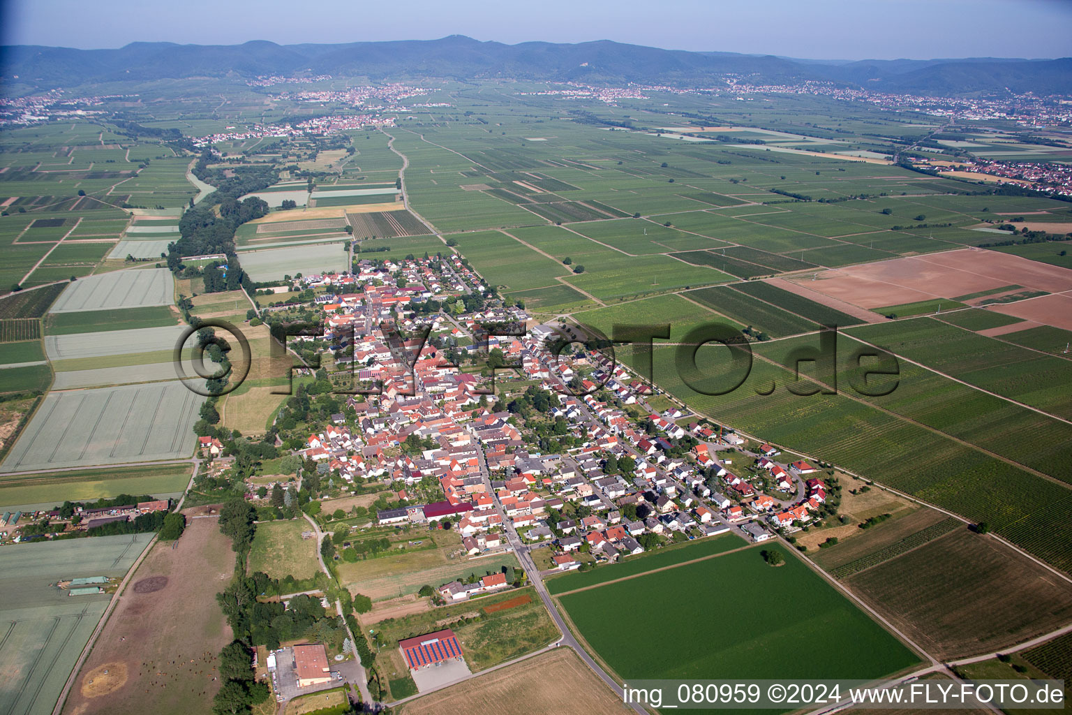 Luftbild von Dorf - Ansicht am Rande von landwirtschaftlichen Feldern und Nutzflächen im Ortsteil Duttweiler in Neustadt an der Weinstraße im Bundesland Rheinland-Pfalz, Deutschland