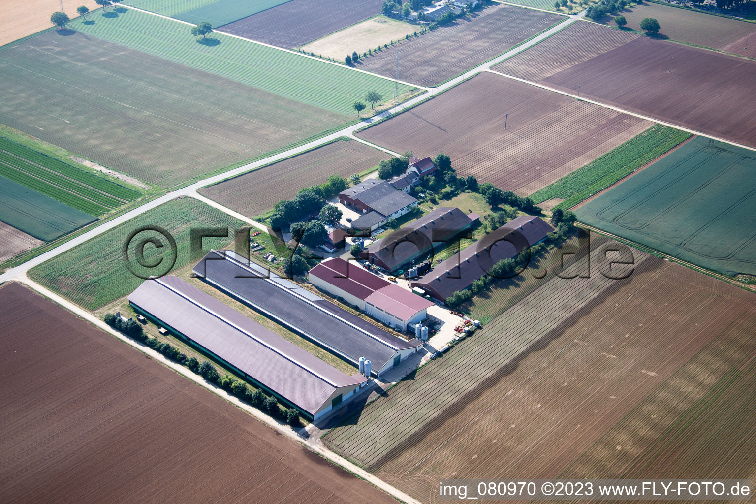 Zeiskam im Bundesland Rheinland-Pfalz, Deutschland von der Drohne aus gesehen