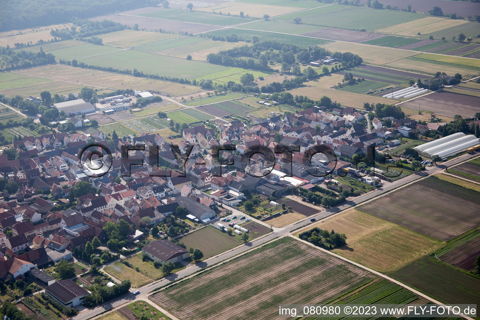 Zeiskam im Bundesland Rheinland-Pfalz, Deutschland aus der Luft betrachtet