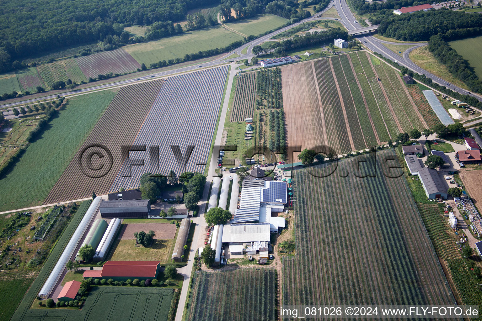 Kandel im Bundesland Rheinland-Pfalz, Deutschland aus der Drohnenperspektive