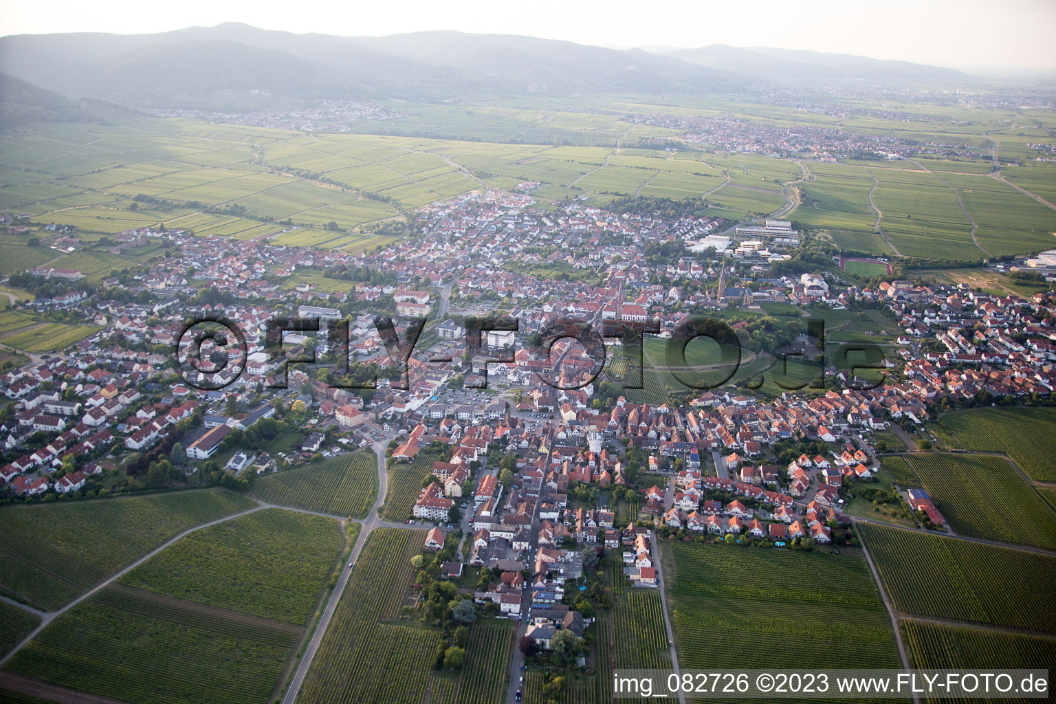 Luftbild von Edenkoben im Bundesland Rheinland-Pfalz, Deutschland