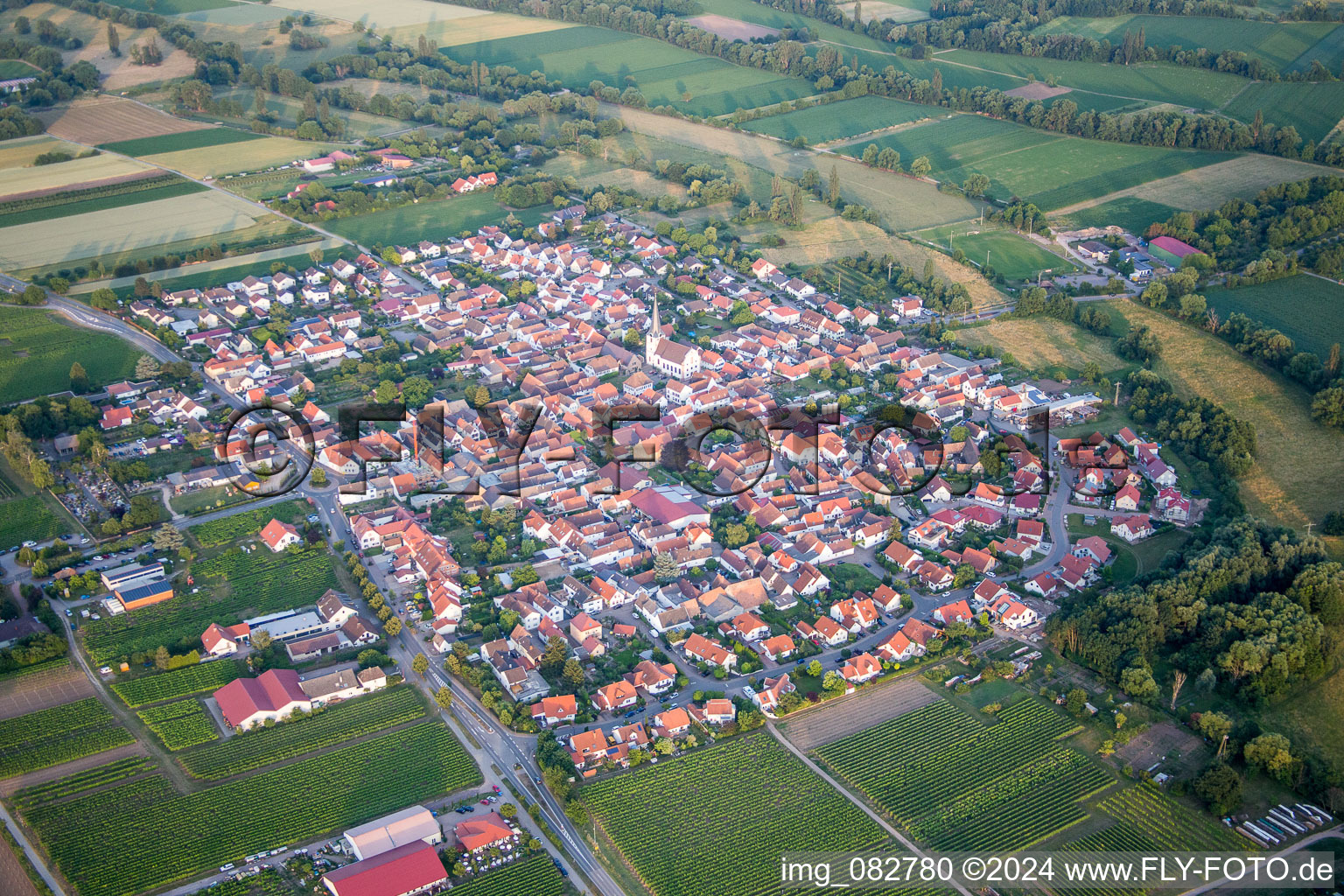 Luftaufnahme von Dorf - Ansicht am Rande von landwirtschaftlichen Feldern und Nutzflächen in Venningen im Bundesland Rheinland-Pfalz, Deutschland