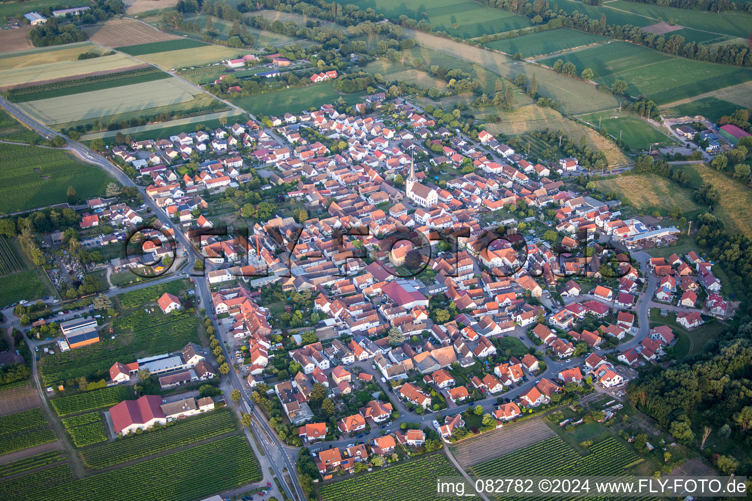 Schrägluftbild von Dorf - Ansicht am Rande von landwirtschaftlichen Feldern und Nutzflächen in Venningen im Bundesland Rheinland-Pfalz, Deutschland