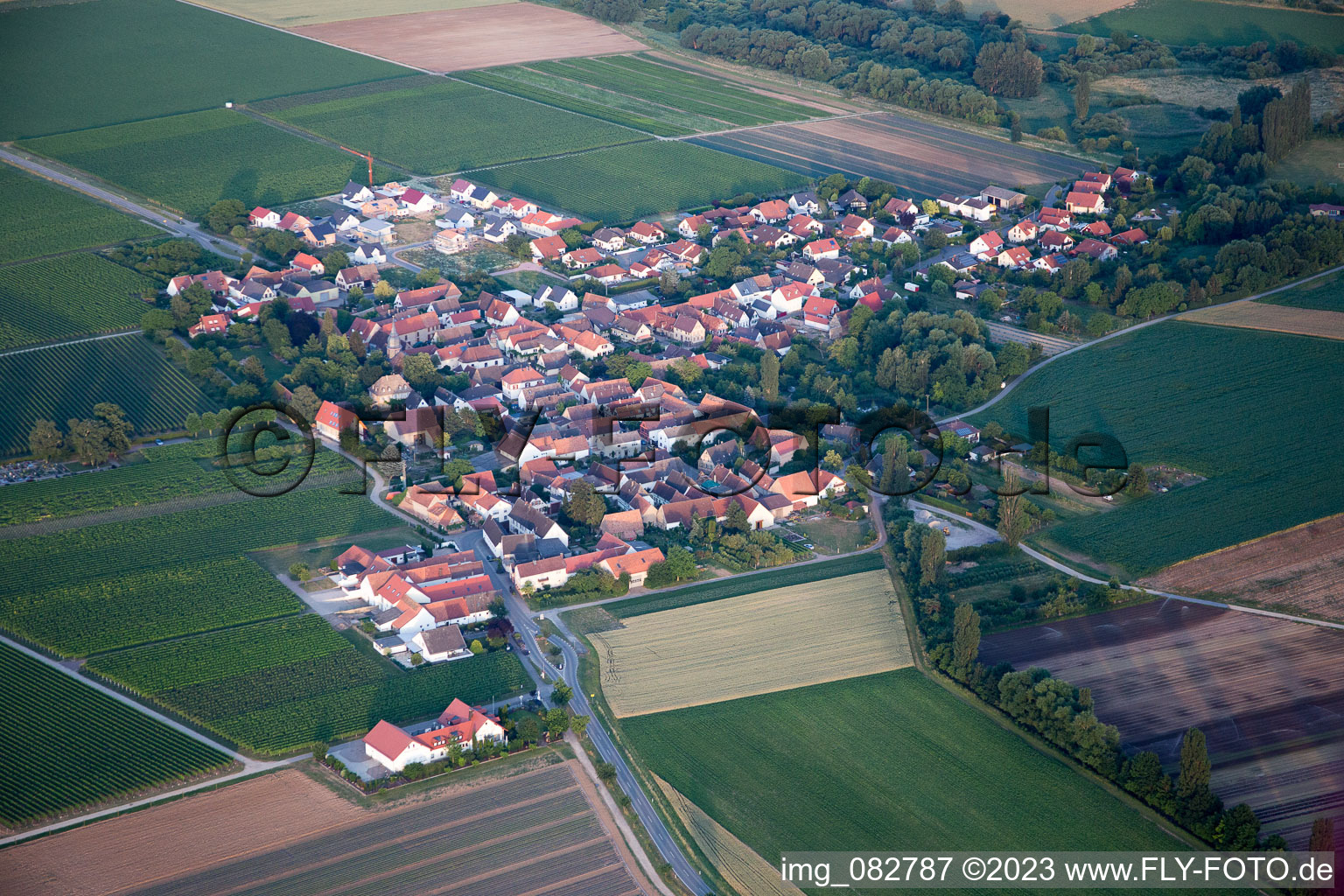 Luftbild von Kleinfischlingen im Bundesland Rheinland-Pfalz, Deutschland