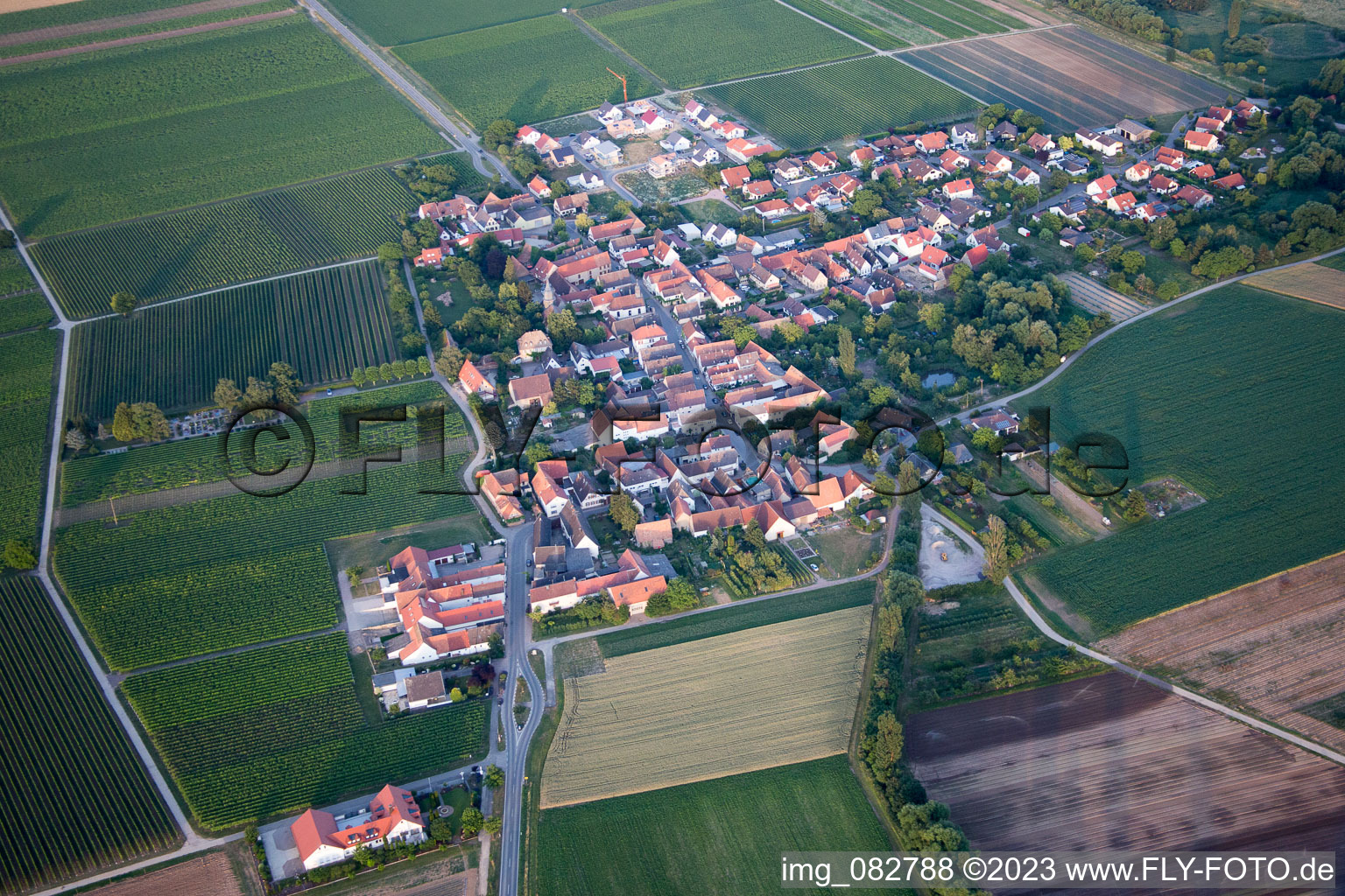 Luftaufnahme von Kleinfischlingen im Bundesland Rheinland-Pfalz, Deutschland