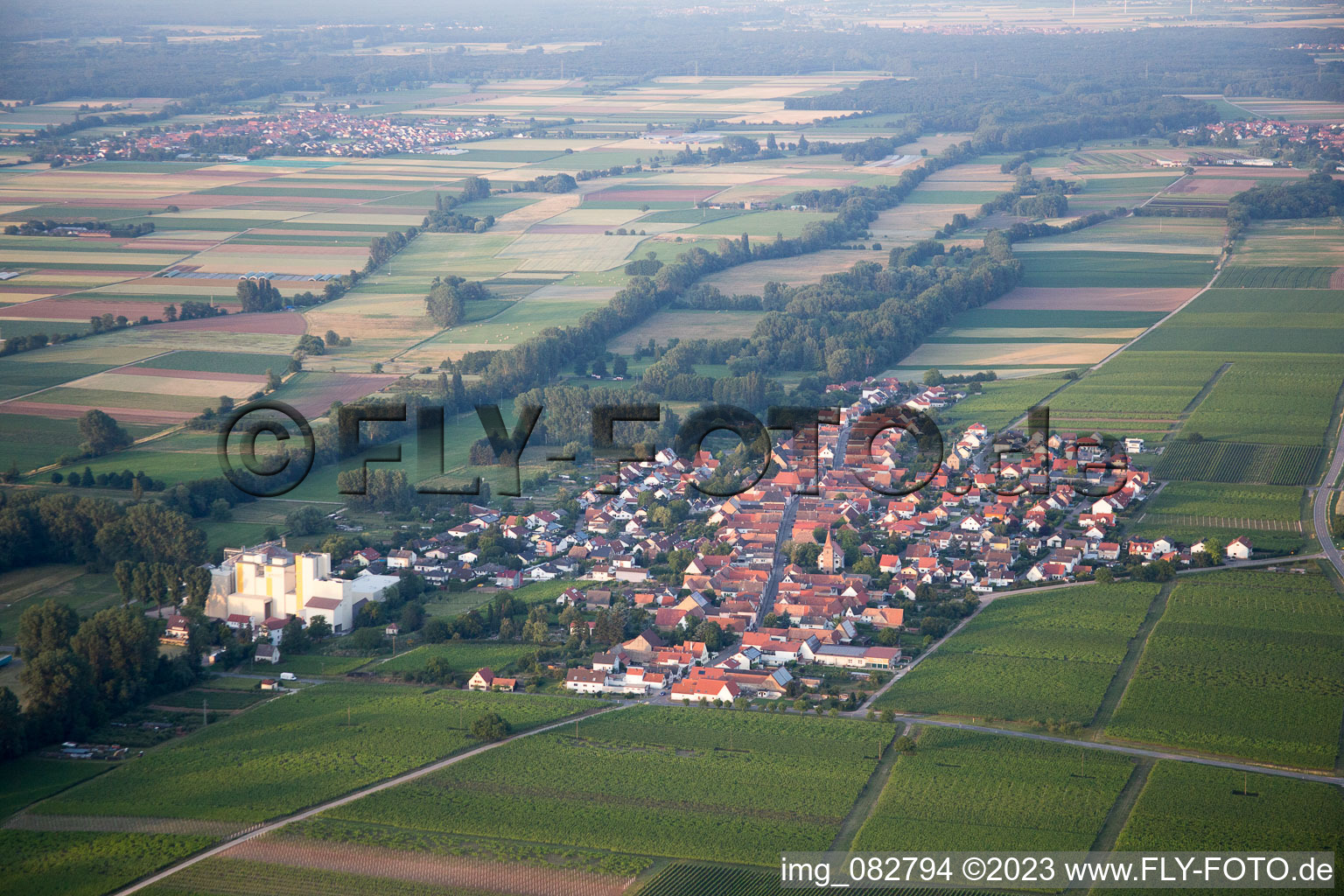 Freimersheim im Bundesland Rheinland-Pfalz, Deutschland von oben