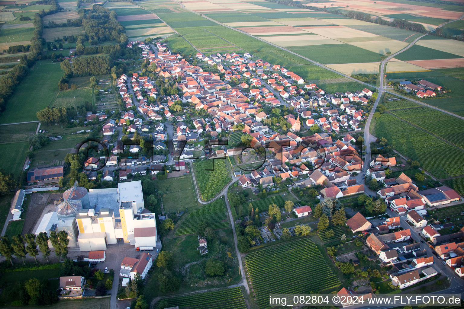 Luftbild von Getreidemühle Cornexo GmbH in Freimersheim (Pfalz) im Bundesland Rheinland-Pfalz, Deutschland