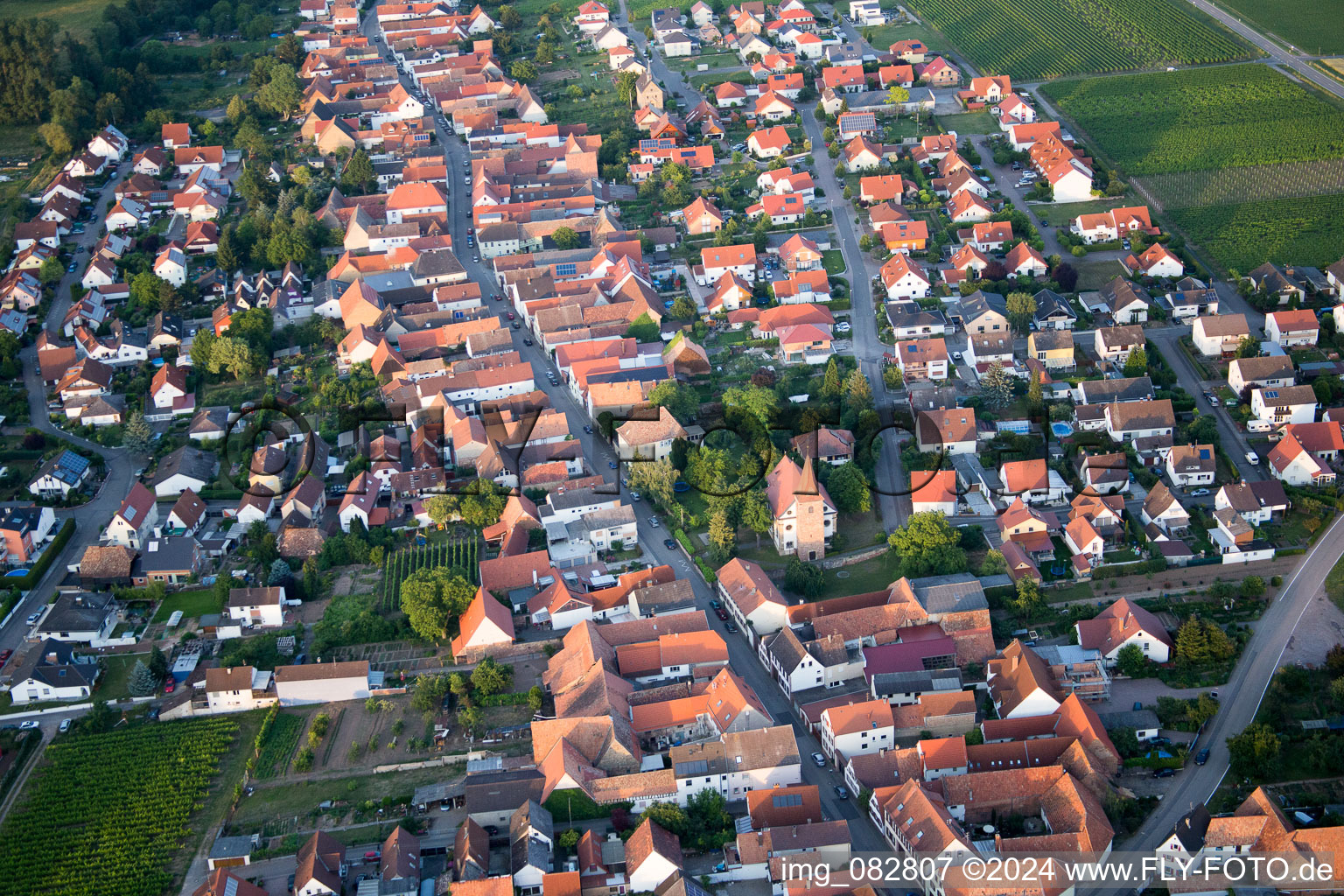 Dorf - Ansicht am Rande von landwirtschaftlichen Feldern und Nutzflächen in Freimersheim (Pfalz) im Bundesland Rheinland-Pfalz, Deutschland