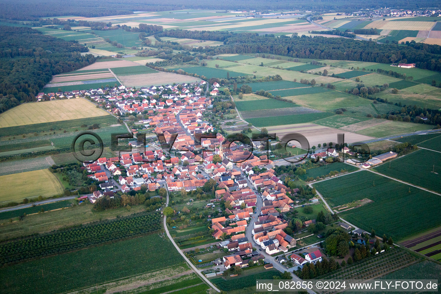 Luftbild von Erlenbach bei Kandel im Bundesland Rheinland-Pfalz, Deutschland