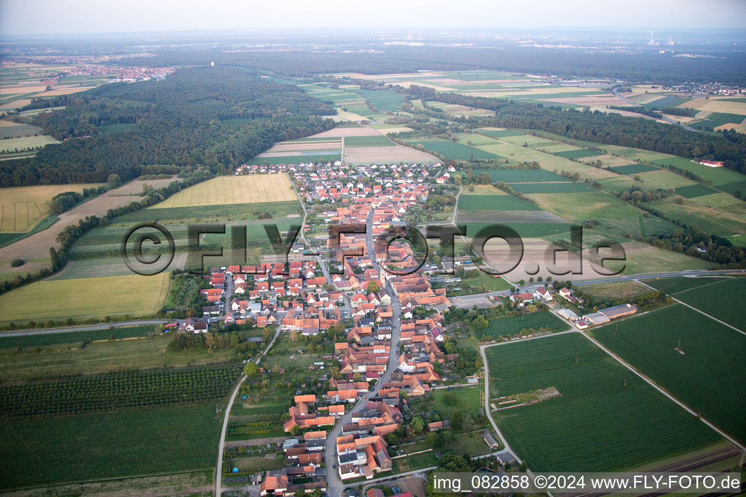 Schrägluftbild von Erlenbach bei Kandel im Bundesland Rheinland-Pfalz, Deutschland