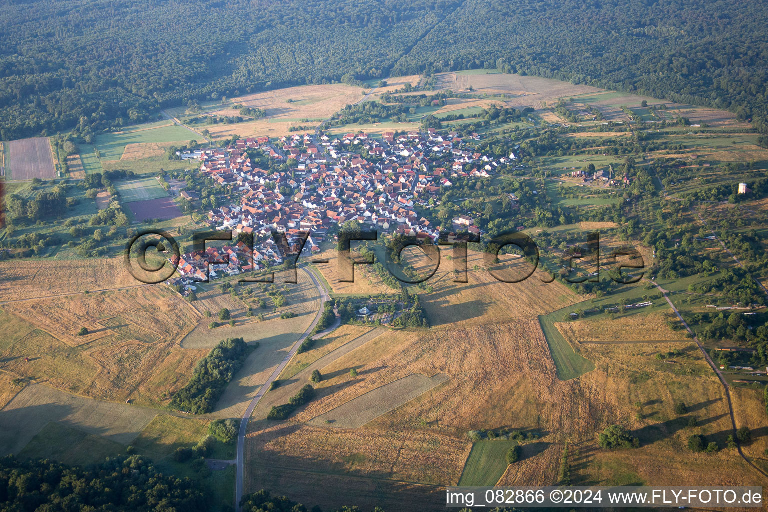 Luftaufnahme von Dorf - Ansicht im Ortsteil Büchelberg in Wörth am Rhein im Bundesland Rheinland-Pfalz, Deutschland