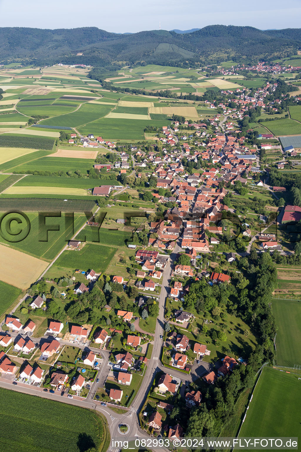 Luftbild von Dorf - Ansicht am Rande von landwirtschaftlichen Feldern und Nutzflächen in Steinseltz in Grand Est im Bundesland Bas-Rhin, Frankreich