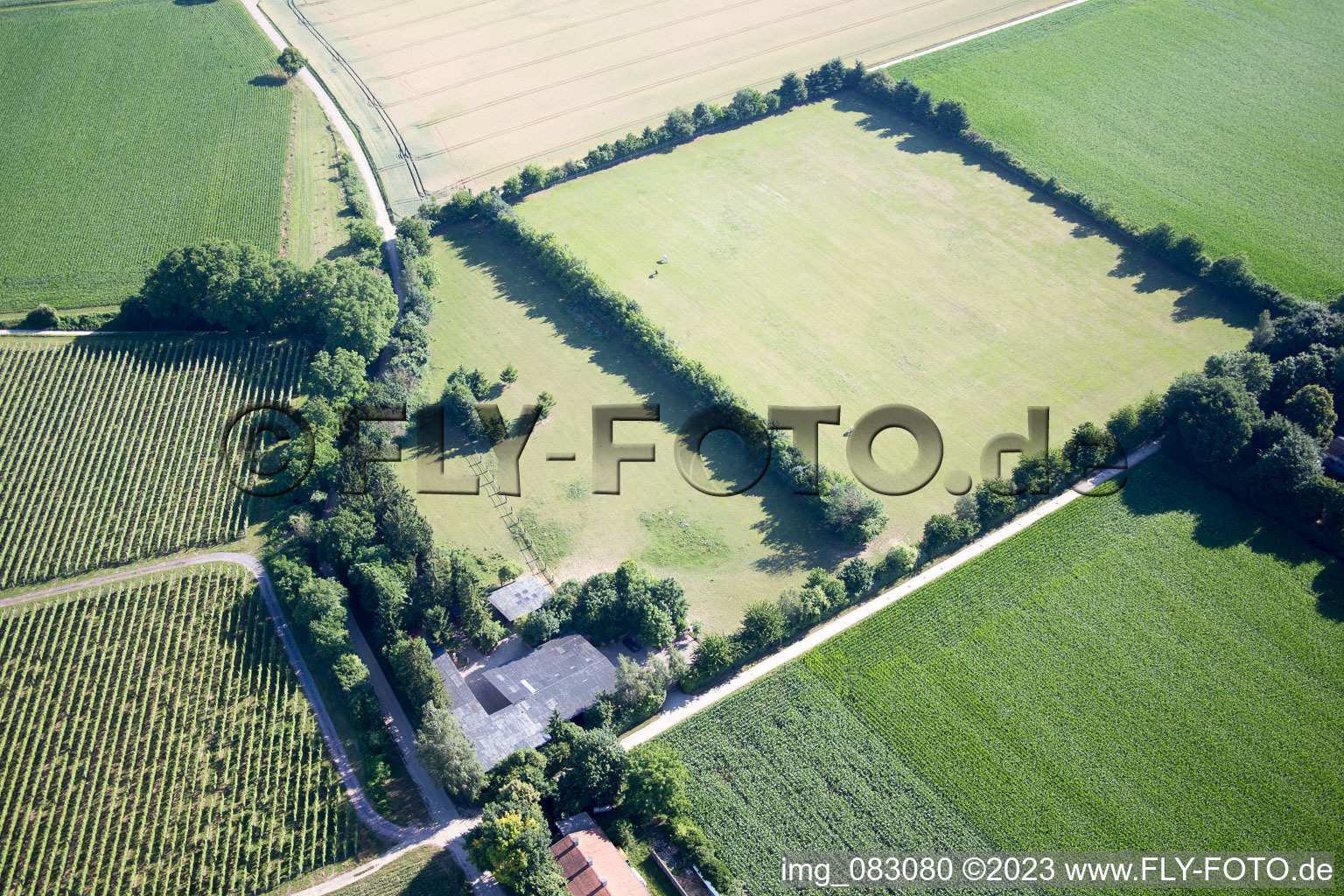 Drohnenaufname von Minfeld im Bundesland Rheinland-Pfalz, Deutschland