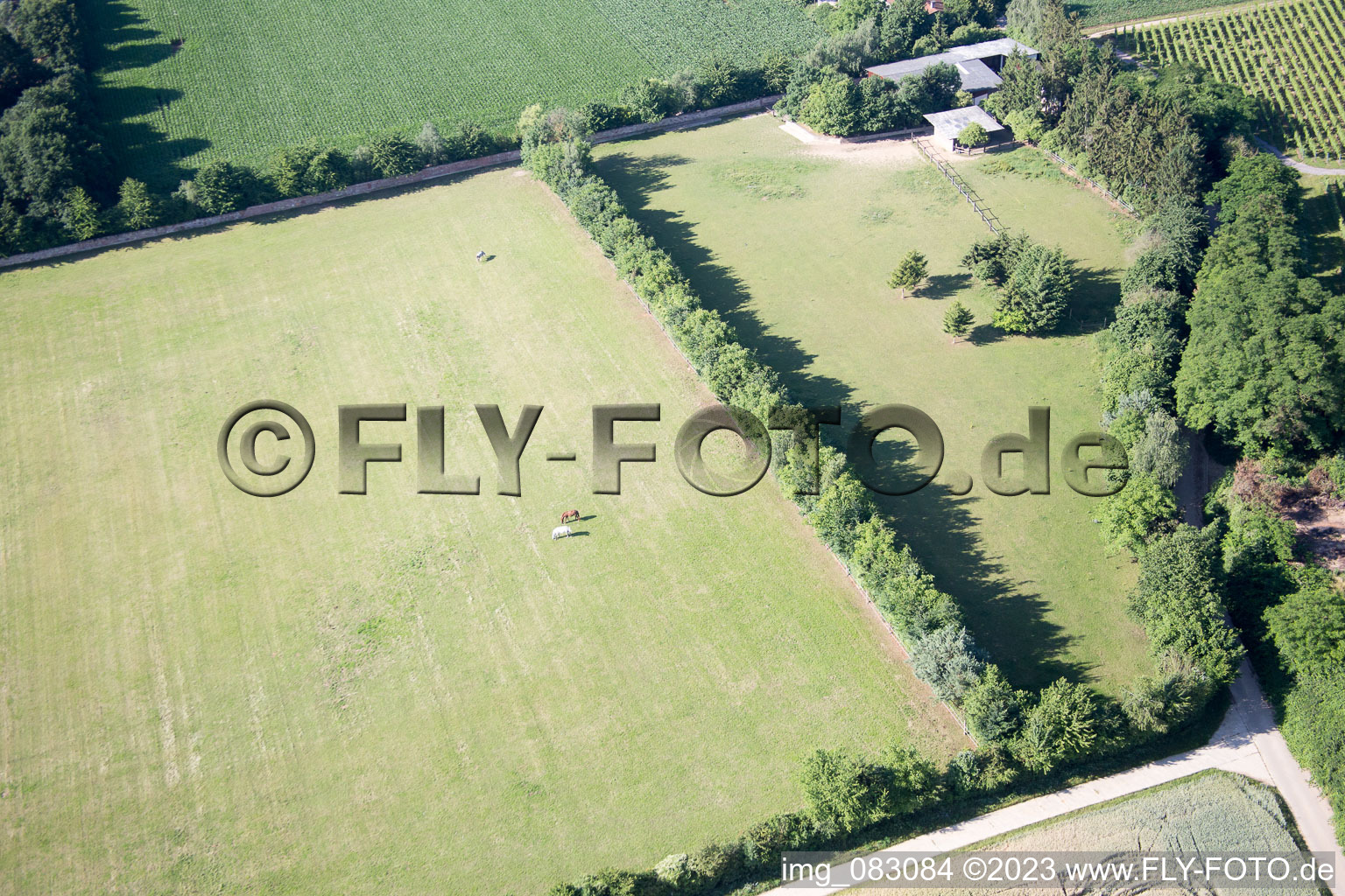 Minfeld im Bundesland Rheinland-Pfalz, Deutschland von der Drohne aus gesehen
