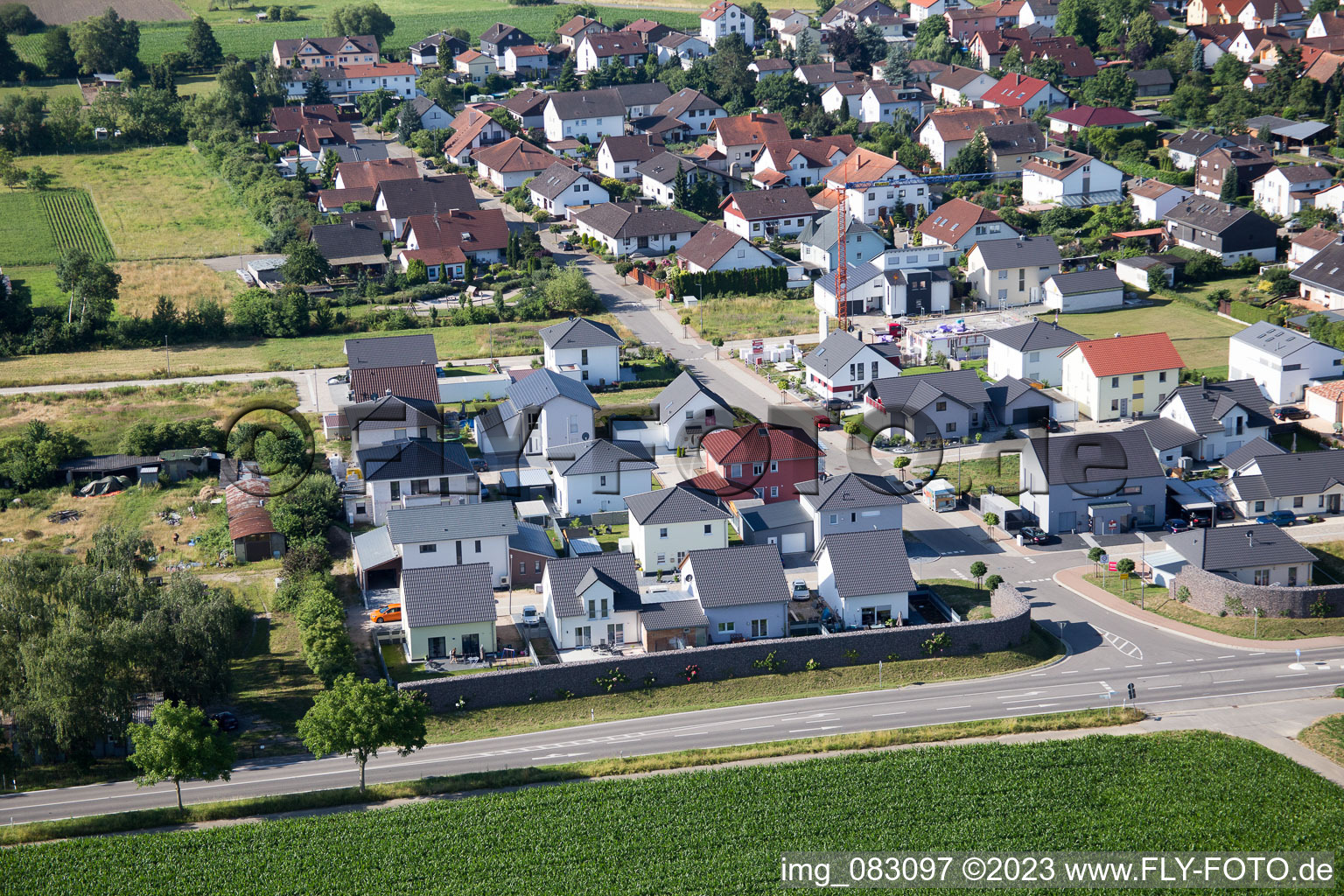 Minfeld im Bundesland Rheinland-Pfalz, Deutschland aus der Drohnenperspektive