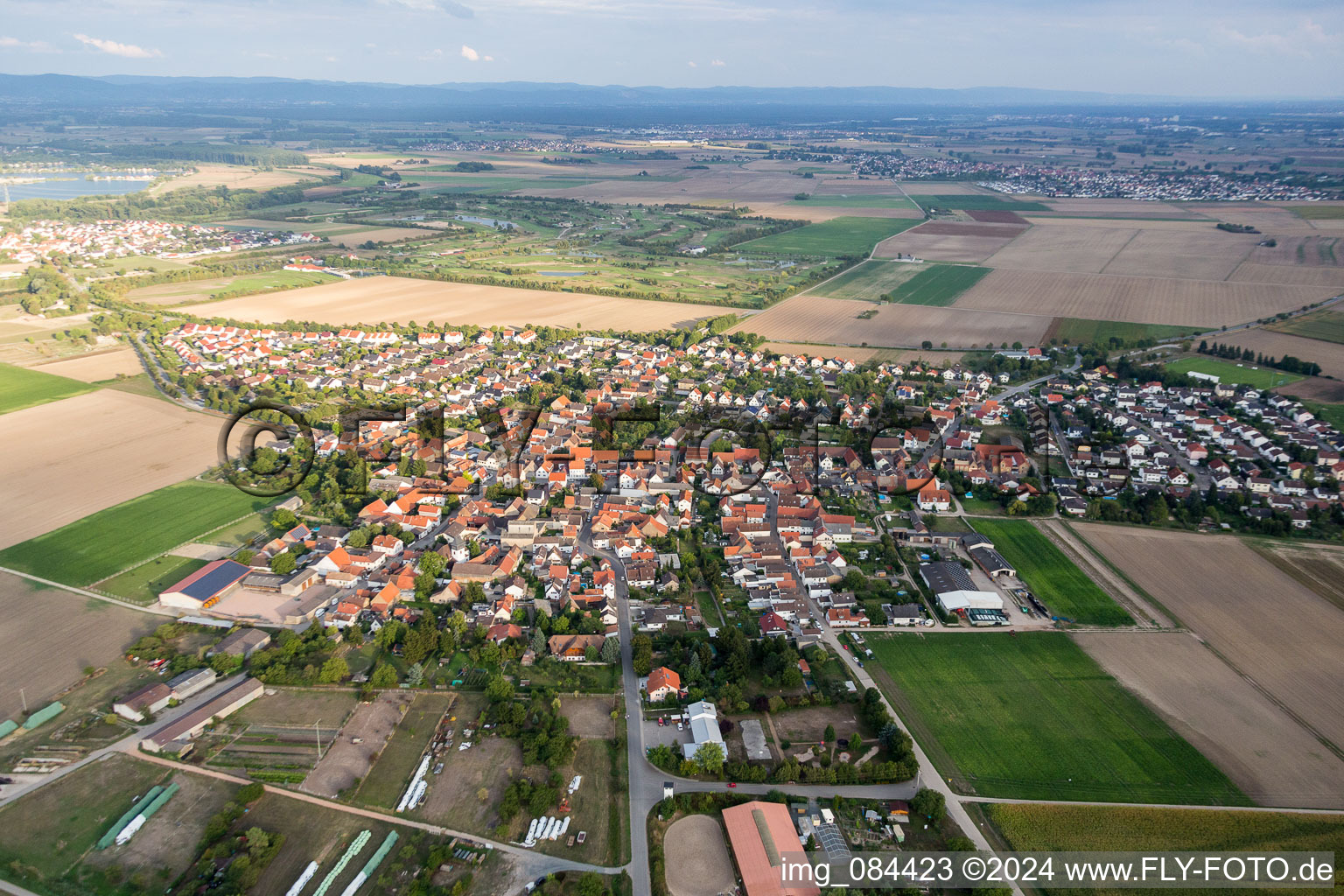 Dorf - Ansicht am Rande von landwirtschaftlichen Feldern und Nutzflächen im Ortsteil Nordheim in Biblis im Bundesland Hessen, Deutschland