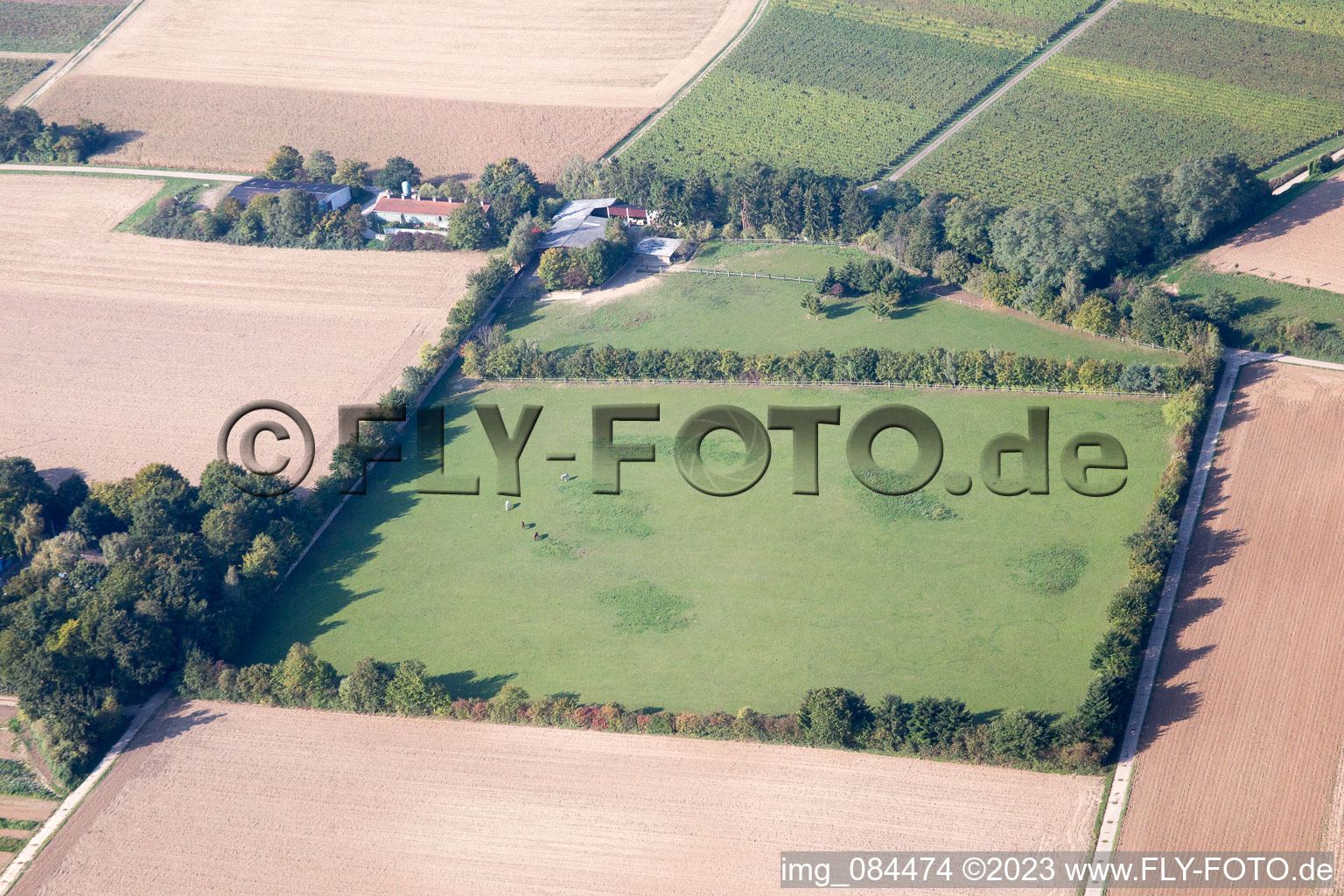 Minfeld, Galgenberg im Bundesland Rheinland-Pfalz, Deutschland aus der Luft