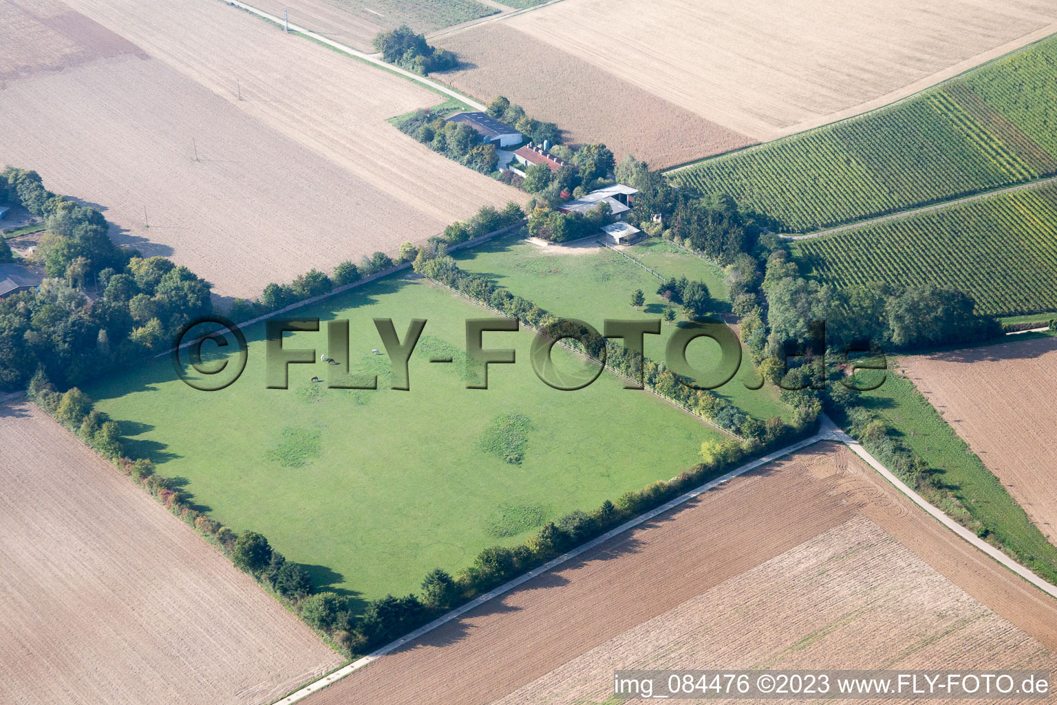 Minfeld, Galgenberg im Bundesland Rheinland-Pfalz, Deutschland vom Flugzeug aus
