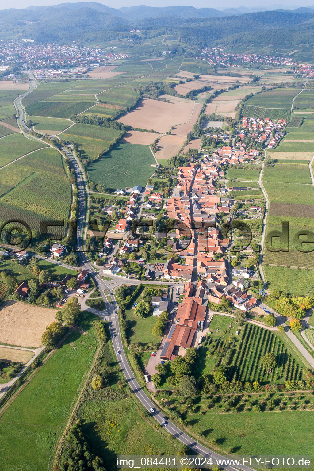 Luftbild von Dorf - Ansicht am Rande von landwirtschaftlichen Feldern und Nutzflächen in Niederhorbach im Bundesland Rheinland-Pfalz, Deutschland