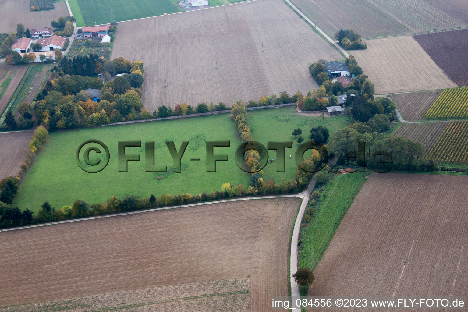 Drohnenbild von Minfeld, Galgenberg im Bundesland Rheinland-Pfalz, Deutschland