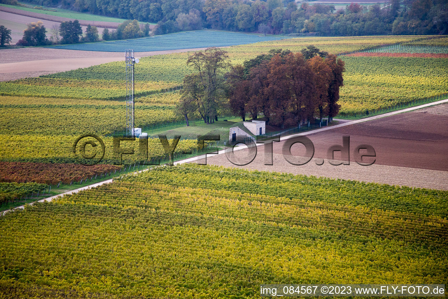 Luftbild von Freckenfeld, Höhenweg im Bundesland Rheinland-Pfalz, Deutschland