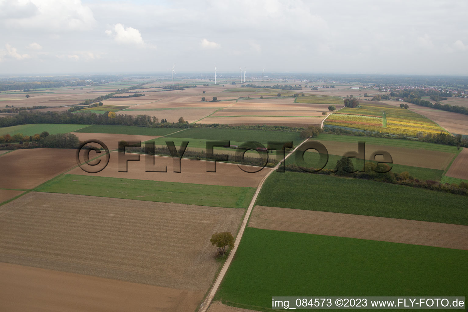 Freckenfeld Modellflugplatz im Bundesland Rheinland-Pfalz, Deutschland vom Flugzeug aus
