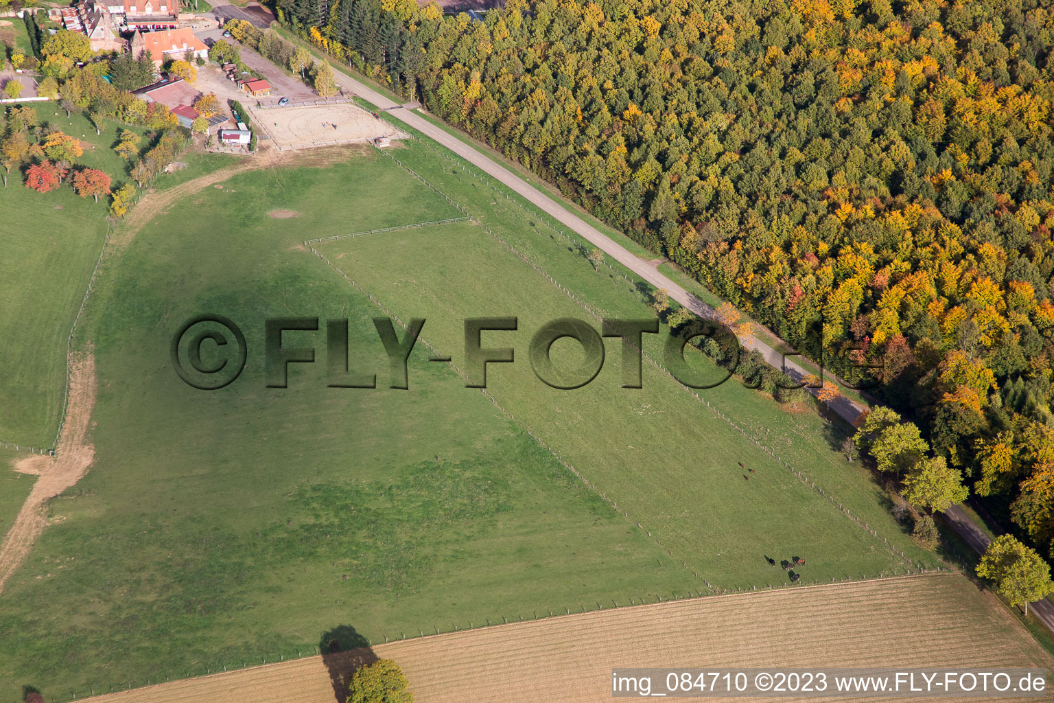 Luftaufnahme von Niederbronn-les-Bains, Villa le Riessack im Bundesland Bas-Rhin, Frankreich