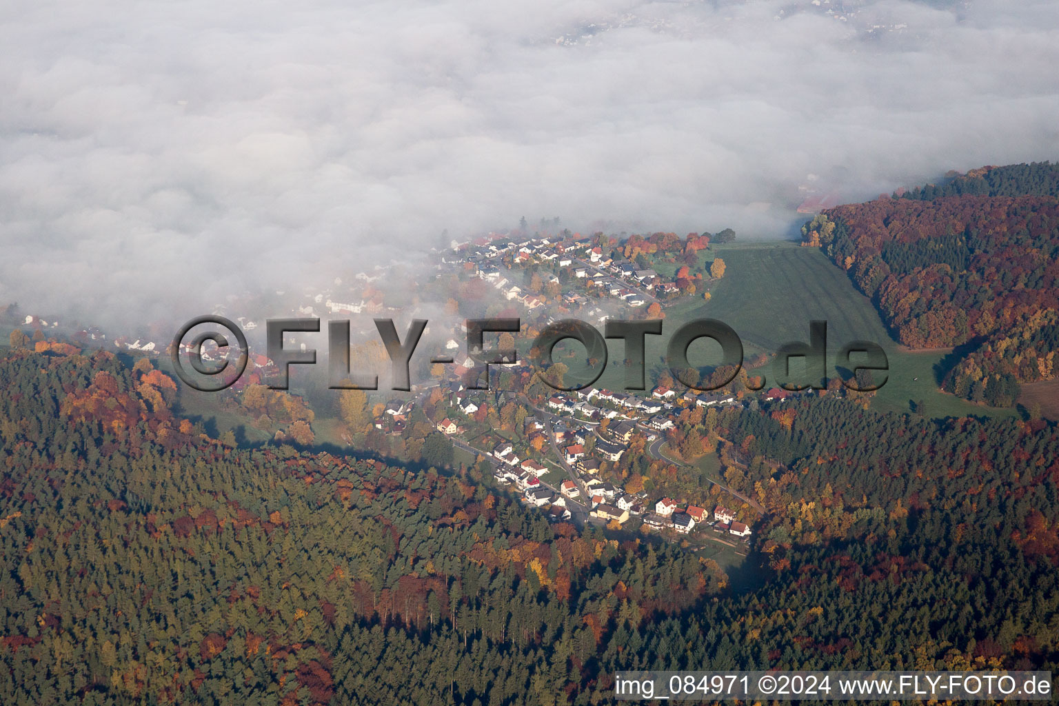 Im Morgennebel in Erbach im Bundesland Hessen, Deutschland