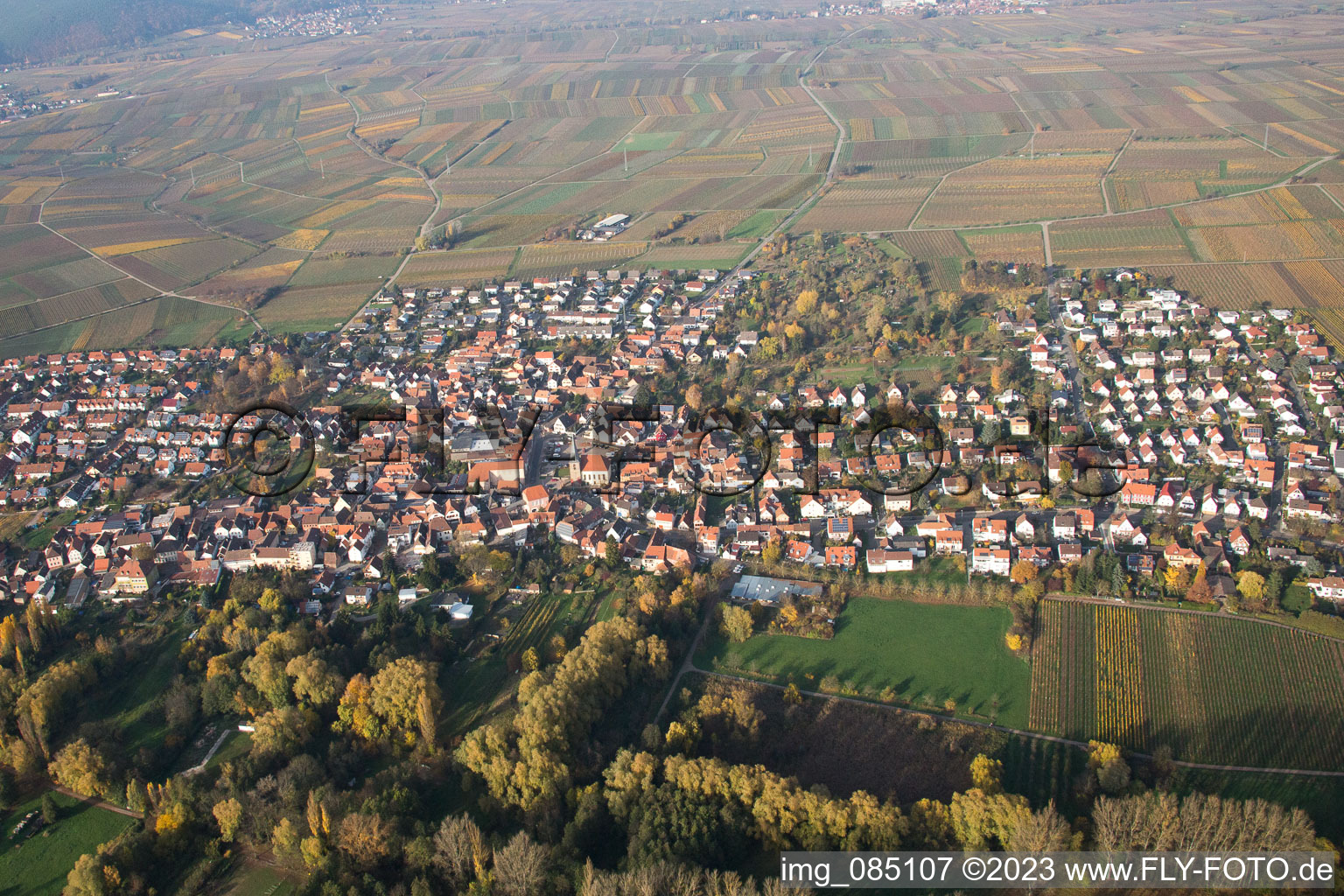 Luftbild von Ortsteil Godramstein in Landau in der Pfalz im Bundesland Rheinland-Pfalz, Deutschland