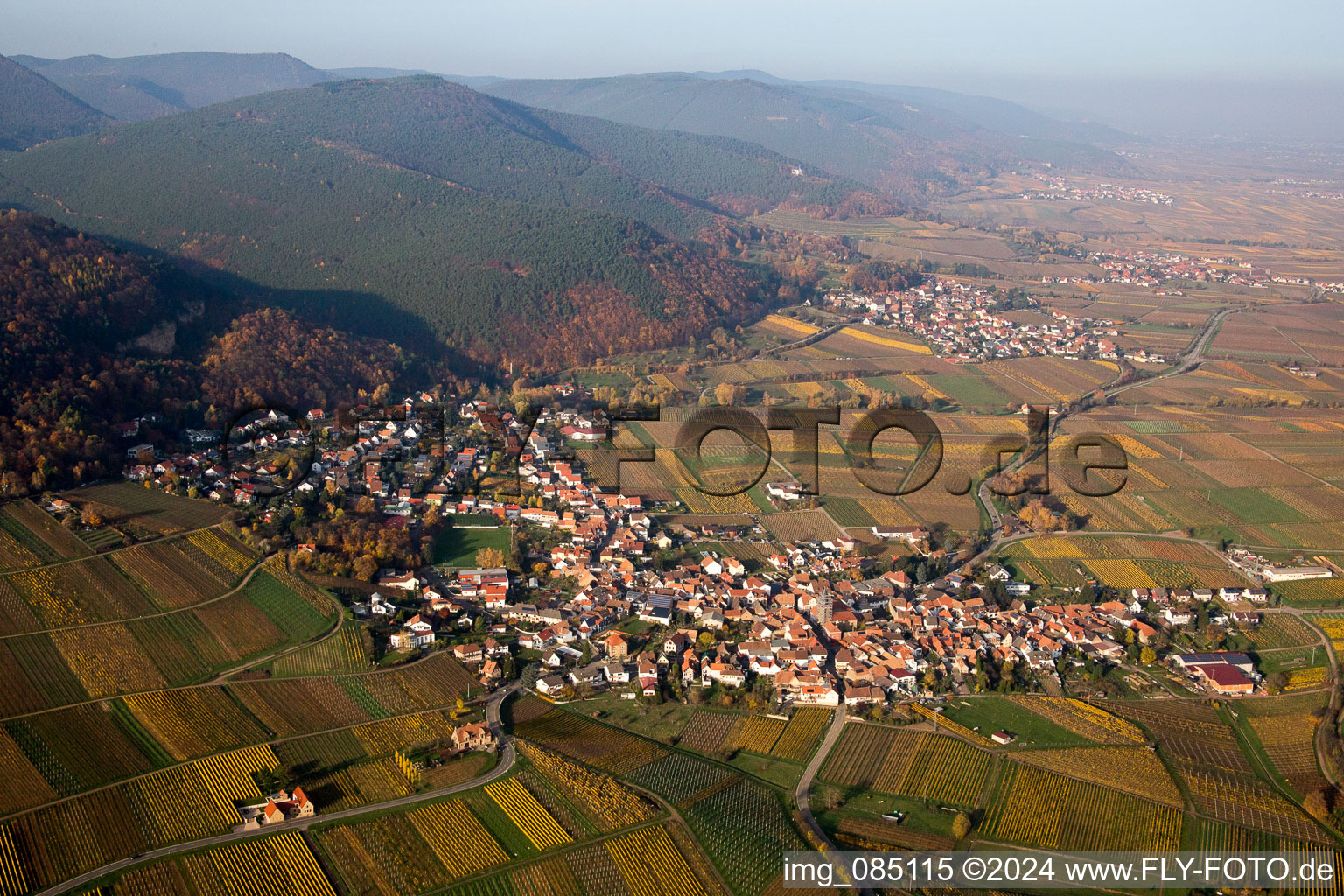 Dorf - Ansicht am Rande von Weinbergen am Haardtrand in Frankweiler im Bundesland Rheinland-Pfalz, Deutschland