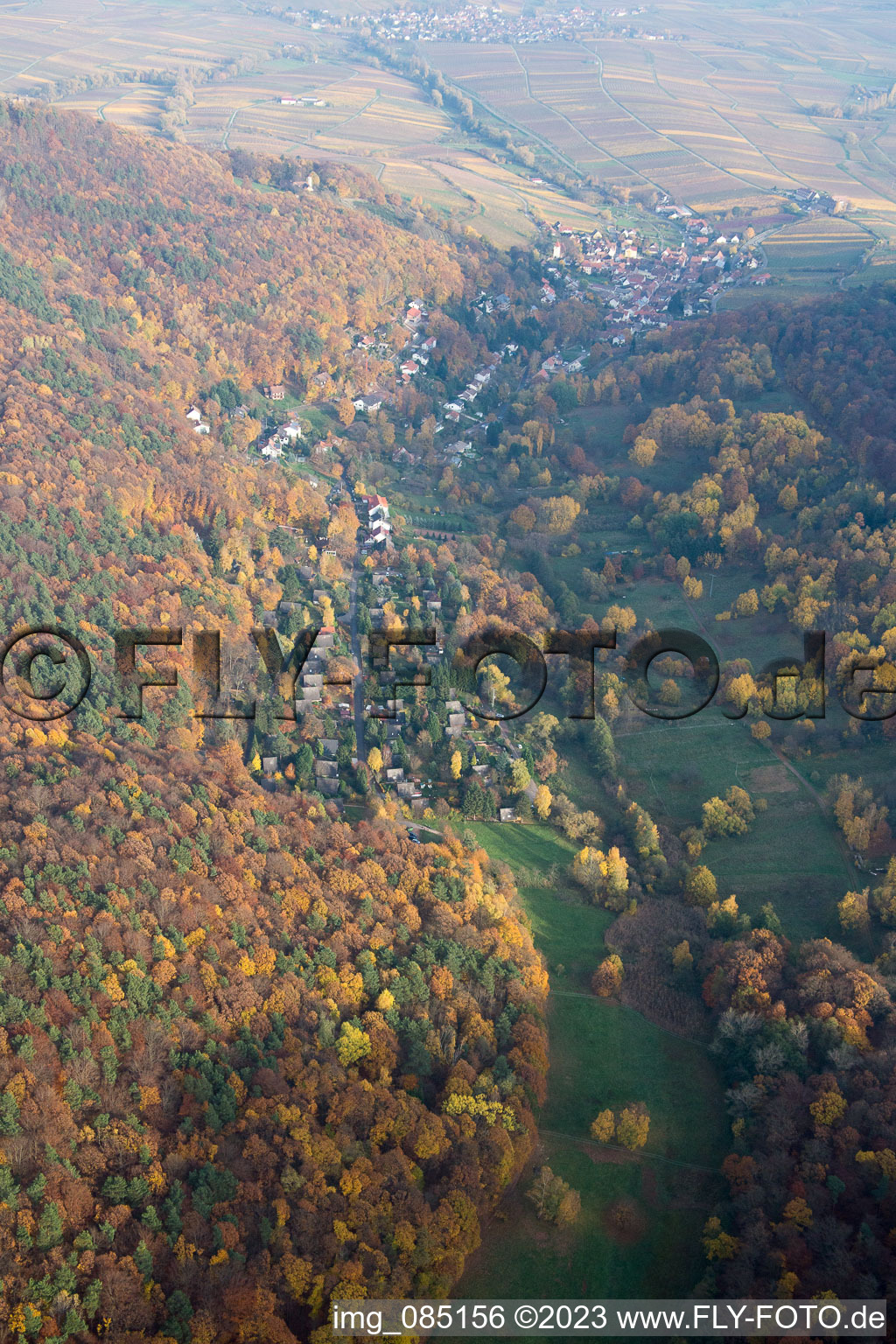 Schrägluftbild von Birnbachtal in Leinsweiler im Bundesland Rheinland-Pfalz, Deutschland