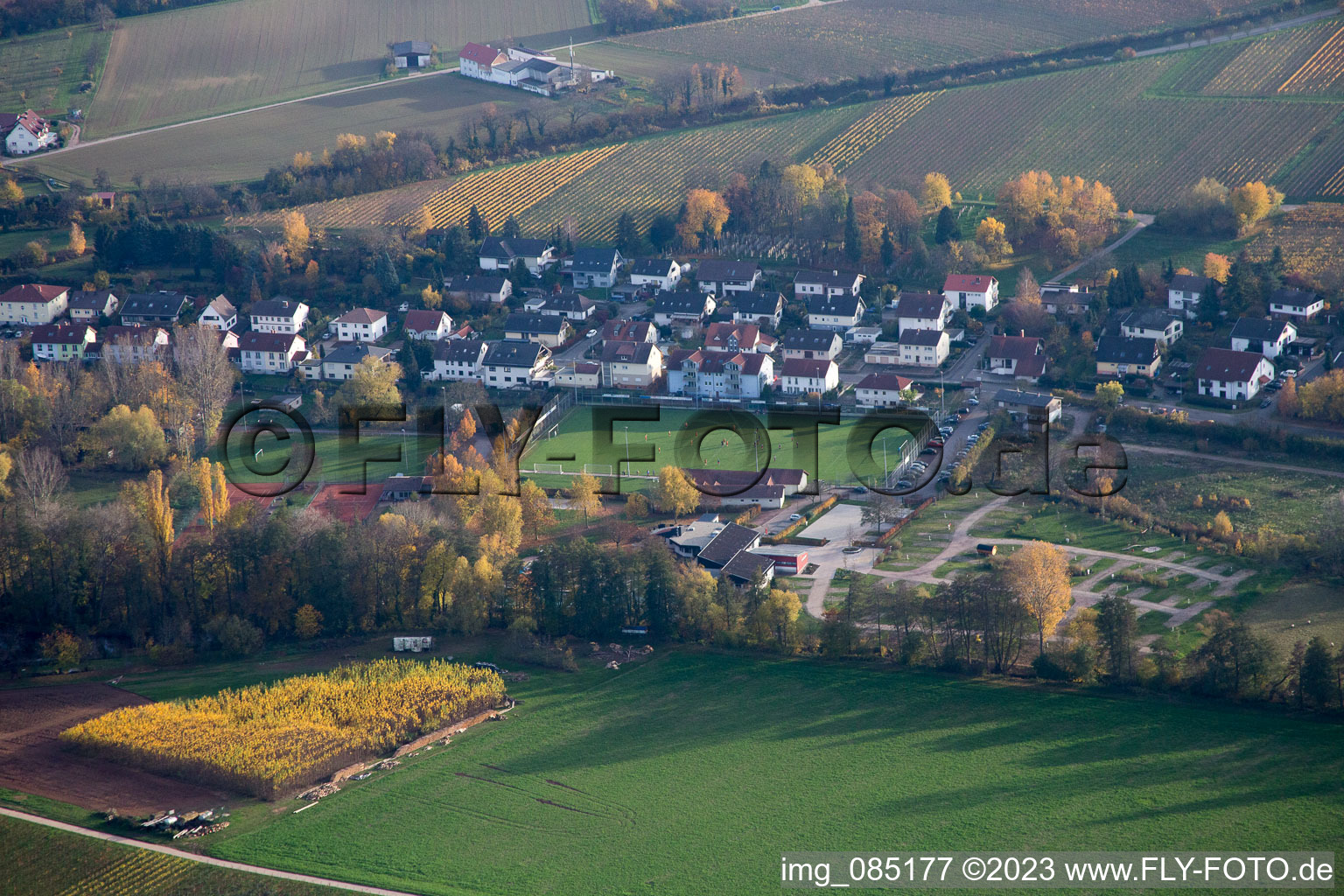 Schrägluftbild von Sportplätze im Ortsteil Ingenheim in Billigheim-Ingenheim im Bundesland Rheinland-Pfalz, Deutschland