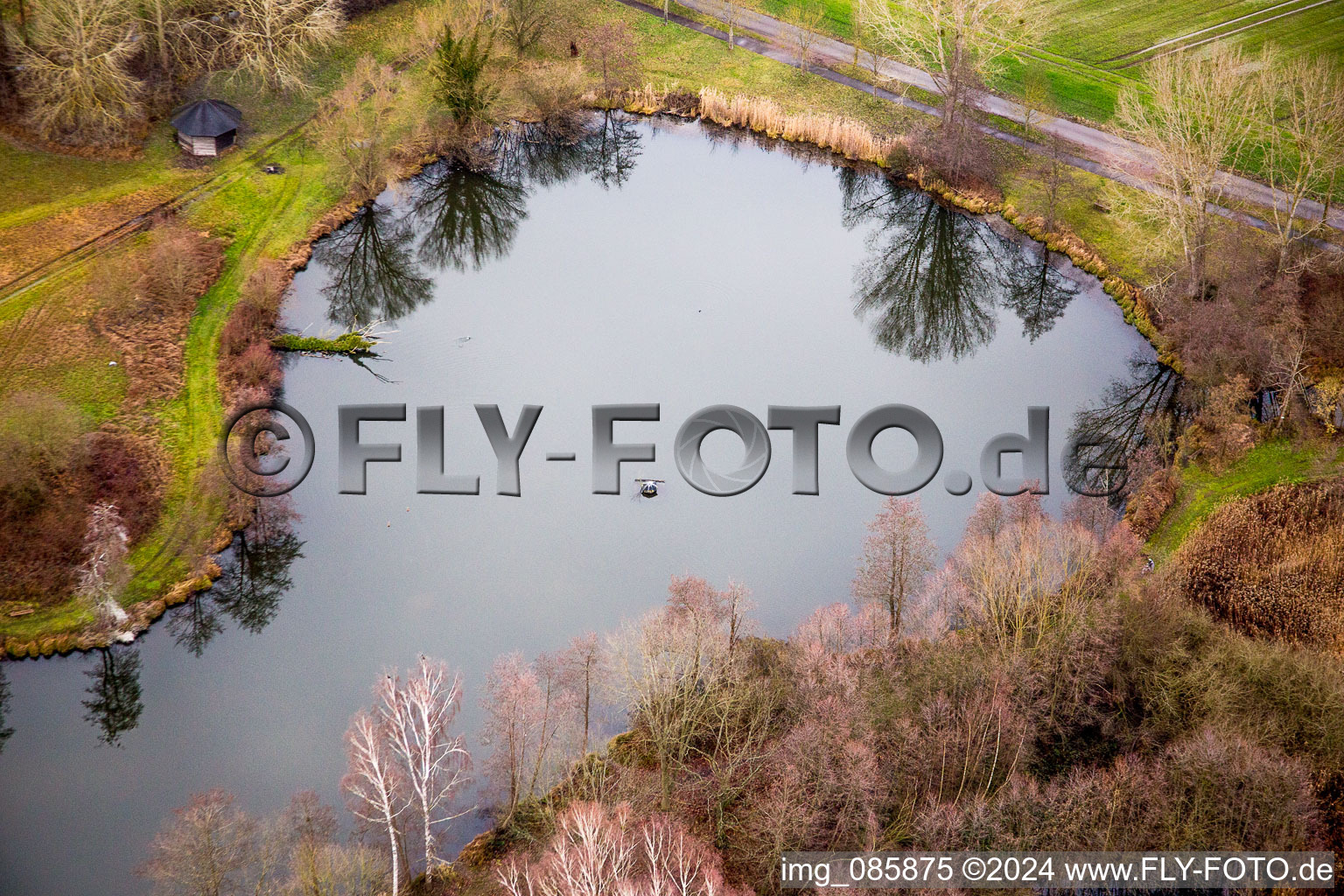 Biotop Teichanlagen im Winter mit Uferbäumen in Steinfeld im Bundesland Rheinland-Pfalz, Deutschland