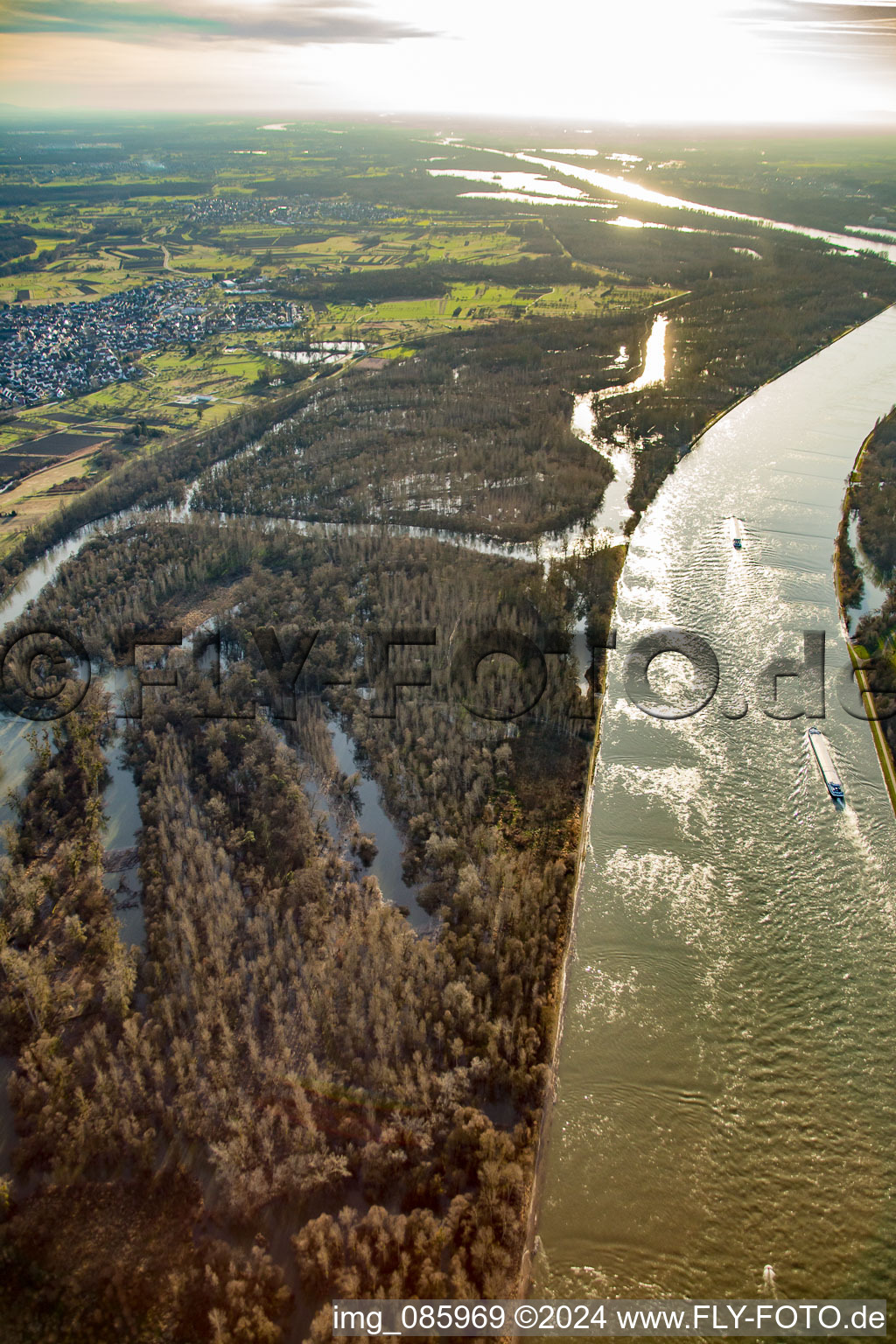 Luftaufnahme von Auer Köpfle Illinger Altrheinauen in Au am Rhein im Bundesland Baden-Württemberg, Deutschland