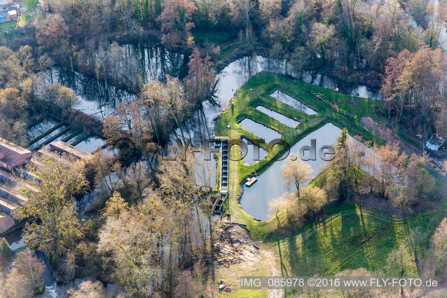 Uferbereiche der Teichanlagen zur Fischzucht an der Lauter in Scheibenhard in Grand Est im Bundesland Bas-Rhin, Frankreich
