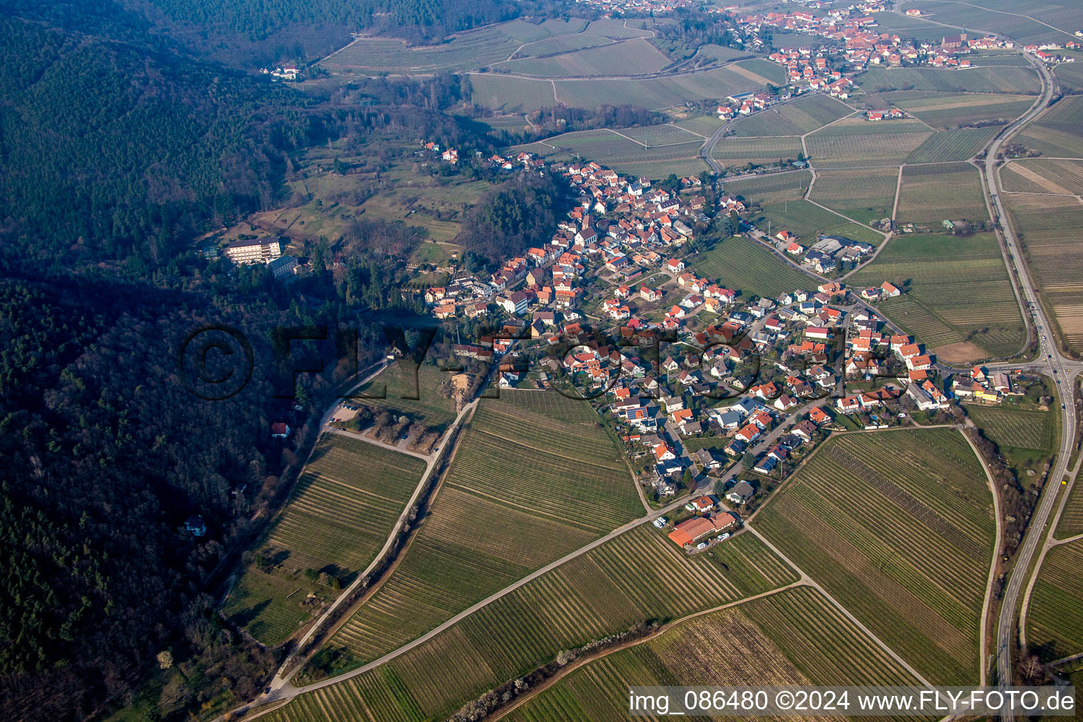 Dorf - Ansicht am Rande von landwirtschaftlichen Feldern und Nutzflächen in Gleisweiler im Bundesland Rheinland-Pfalz, Deutschland