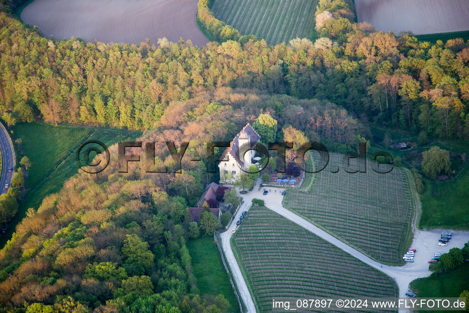 Burganlage des Schloß Hallburg Vinothek mit Weinbergen in Volkach im Bundesland Bayern, Deutschland