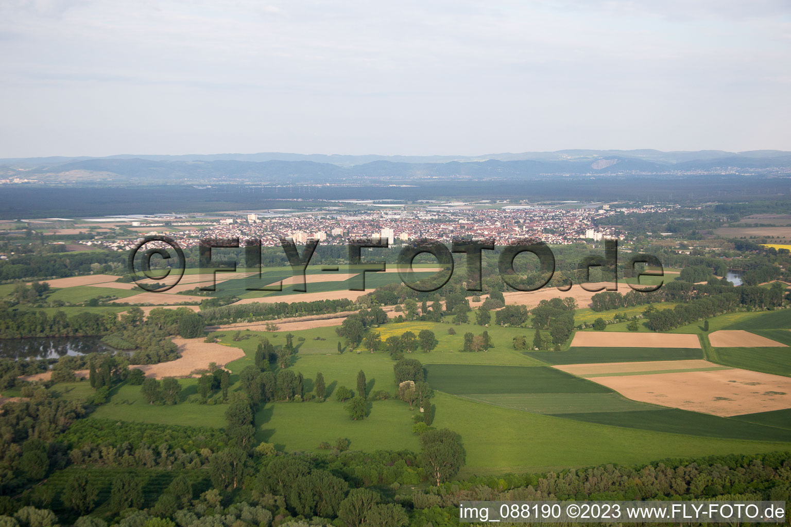 Lampertheim im Bundesland Hessen, Deutschland aus der Vogelperspektive