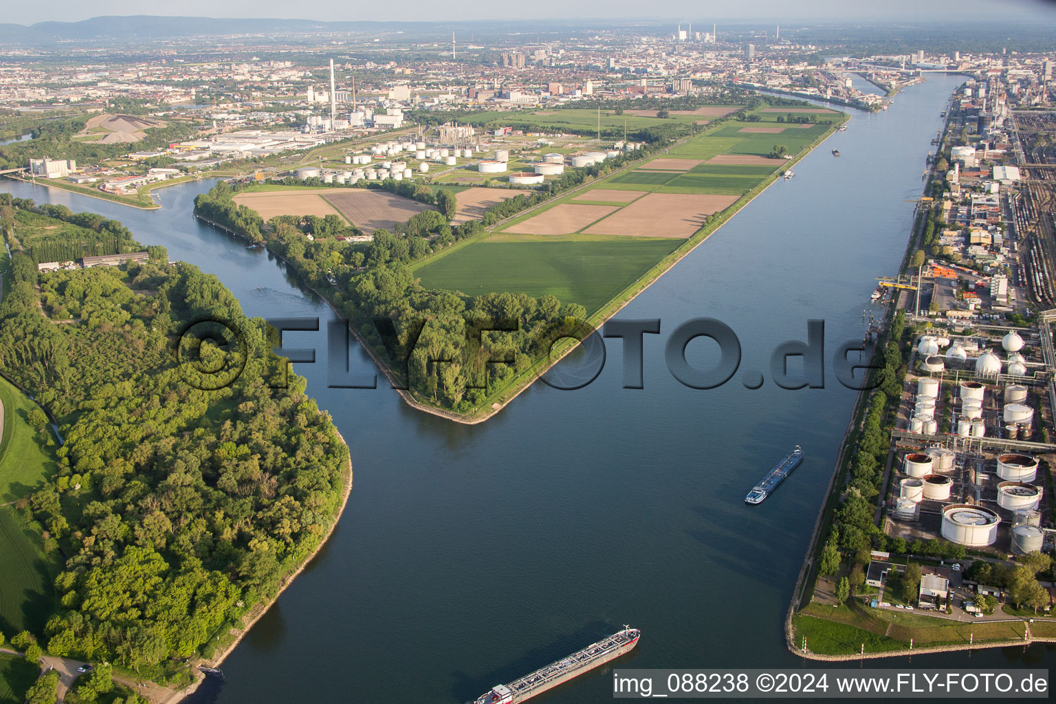 Luftbild von Insel am Ufer des Flußverlaufes des Rhein und des Friesenheimer Altrheins im Ortsteil Friesenheimer Insel in Mannheim im Ortsteil Neckarstadt-West im Bundesland Baden-Württemberg, Deutschland