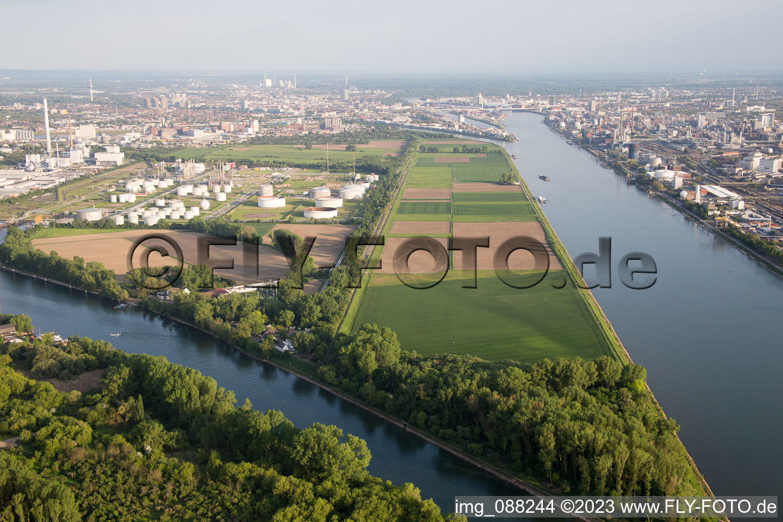 Luftbild von BASF Friesenheim im Ortsteil Neckarstadt-West in Mannheim im Bundesland Baden-Württemberg, Deutschland