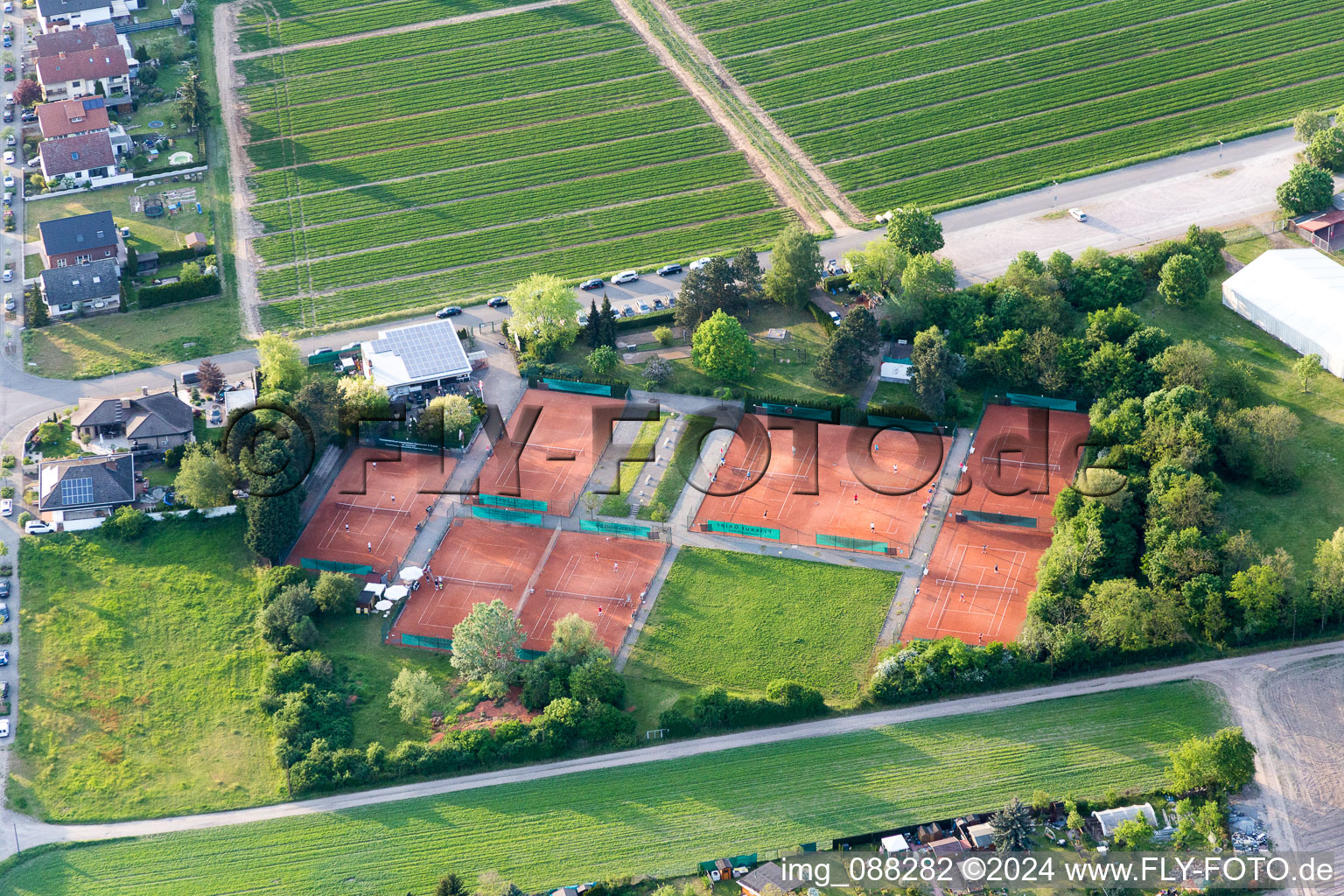 Tennisplatz Sportanlage des Tennisclub Rot-Weiss in Lampertheim im Bundesland Hessen, Deutschland