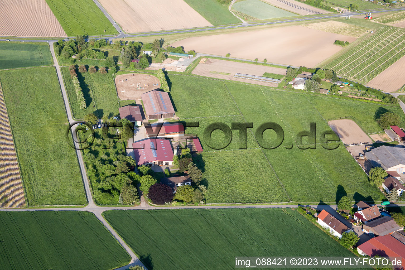 Luftaufnahme von Pfungstadt im Bundesland Hessen, Deutschland