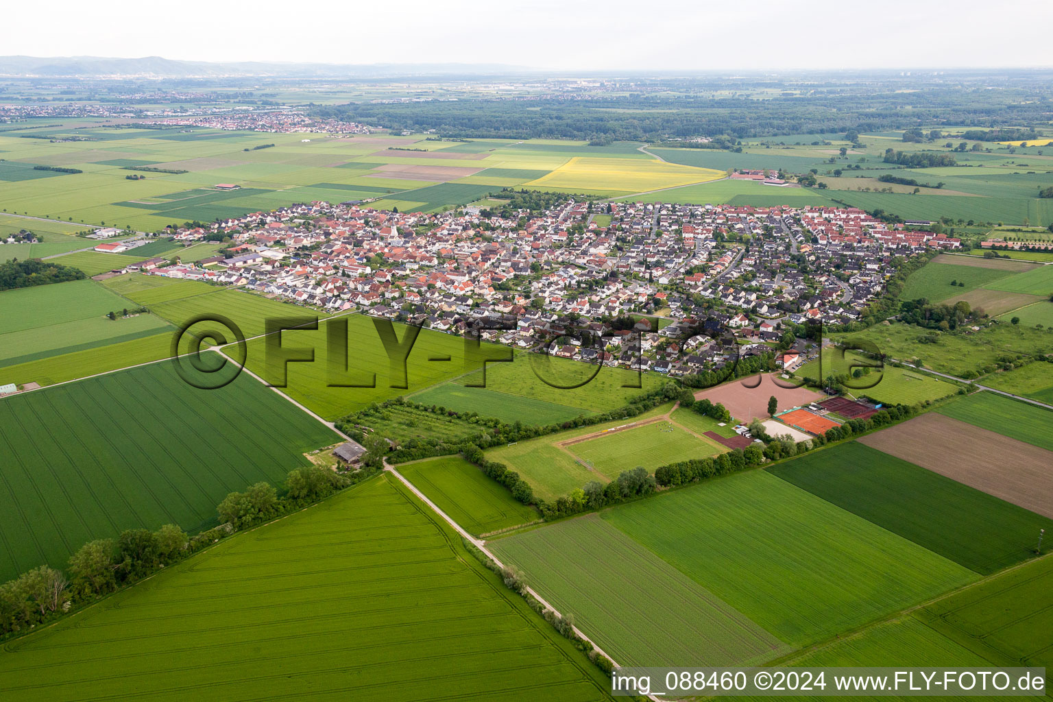 Dorf - Ansicht am Rande von landwirtschaftlichen Feldern und Nutzflächen im Ortsteil Leeheim in Riedstadt im Bundesland Hessen, Deutschland