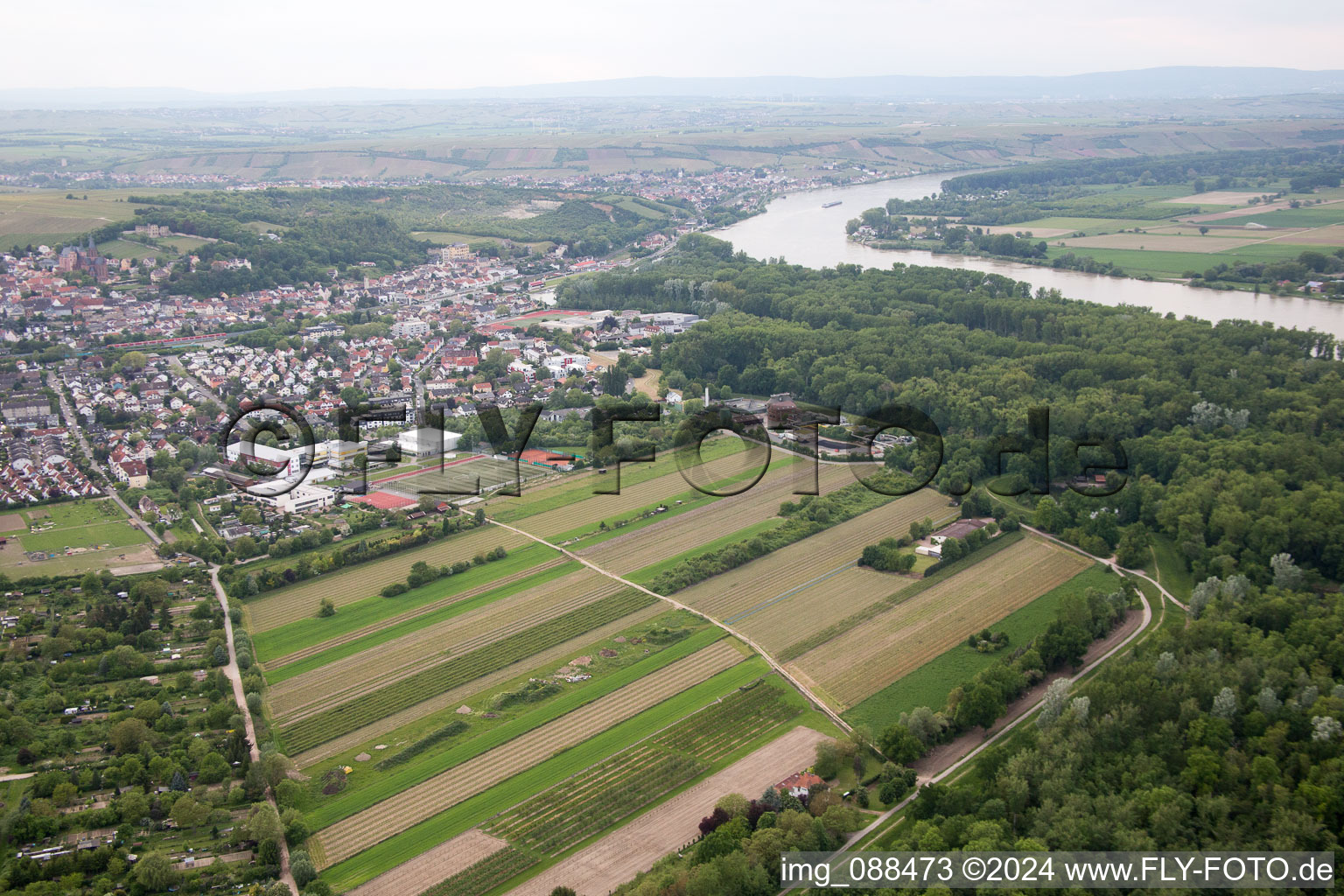 Oppenheim im Bundesland Rheinland-Pfalz, Deutschland von oben