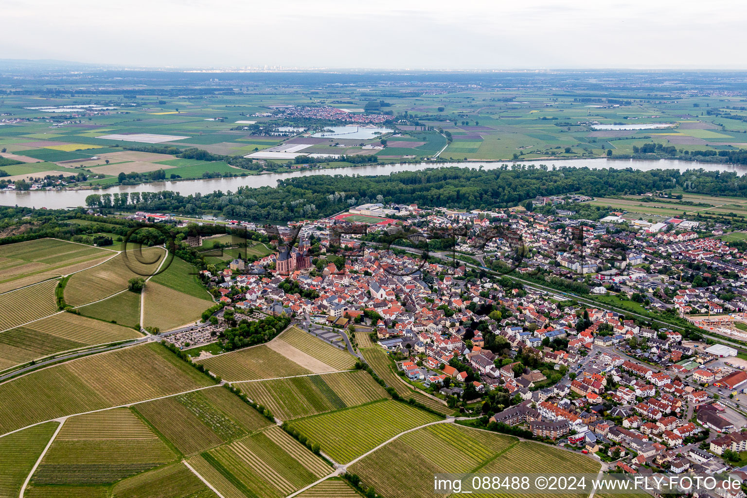 Luftbild von Ortschaft mit Katharinenkirche und Burg Landskron an den Fluss- Uferbereichen des Rhein in Oppenheim im Bundesland Rheinland-Pfalz, Deutschland